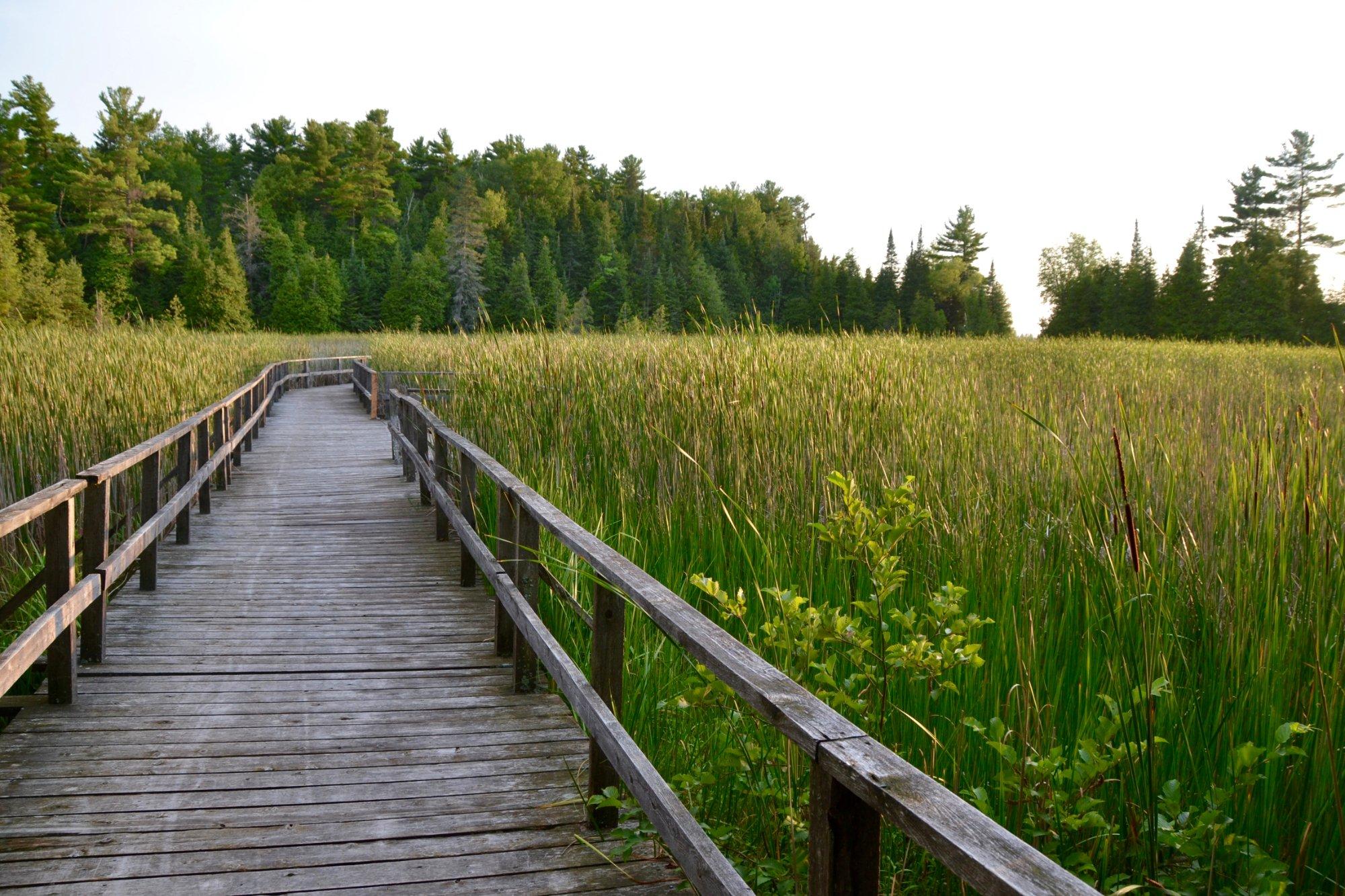 Ken Reid Conservation Area