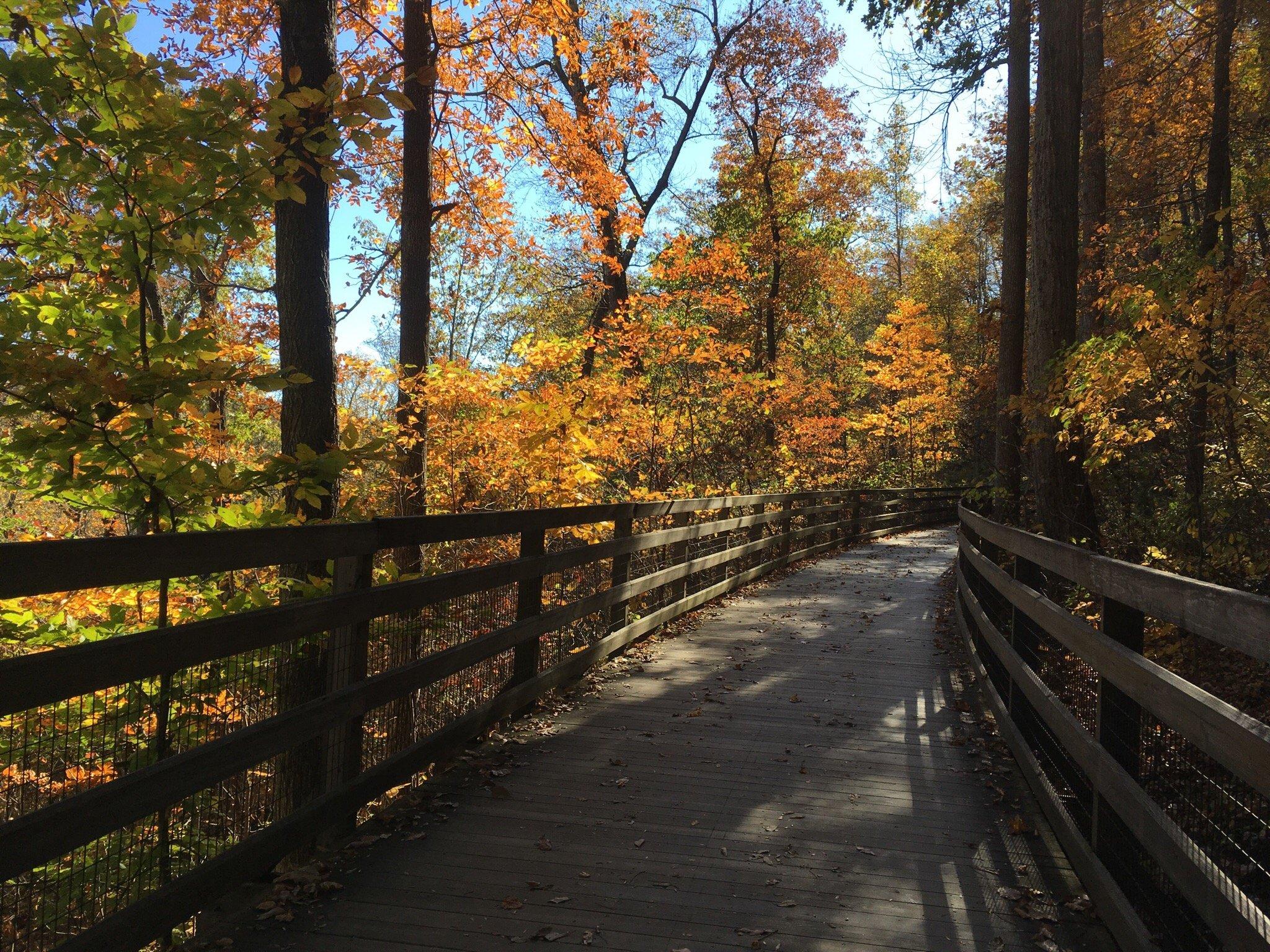 Saunders-Monticello Trail