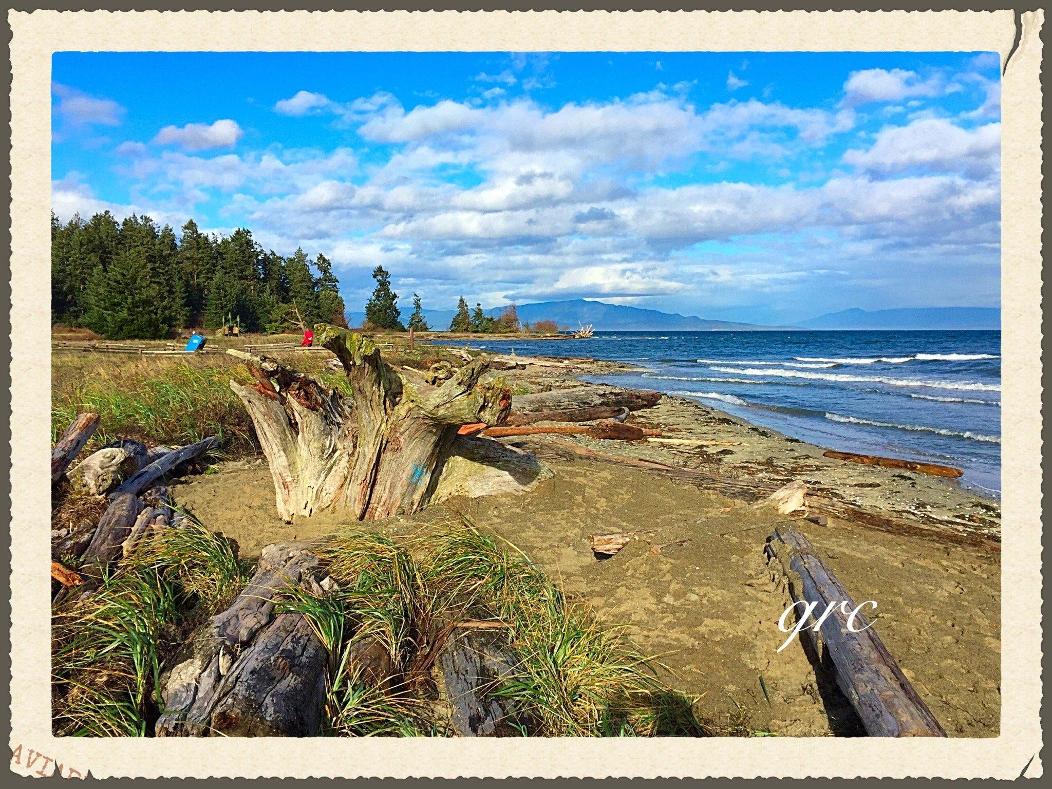 Rathtrevor Beach Provincial Park