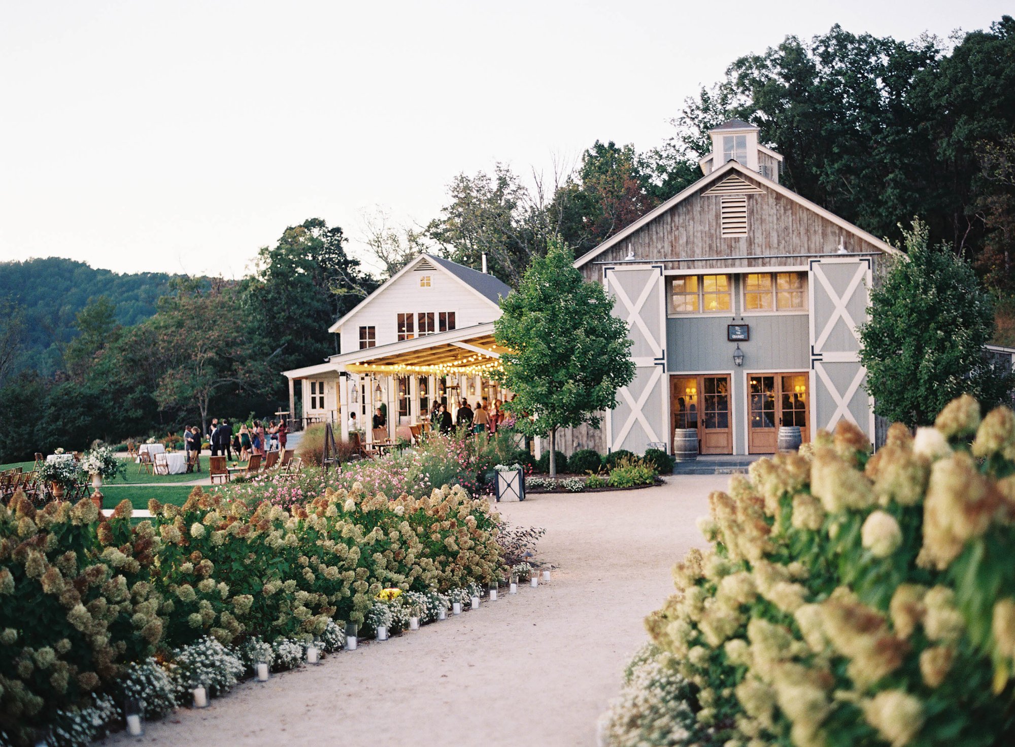 Pippin Hill Farm & Vineyards