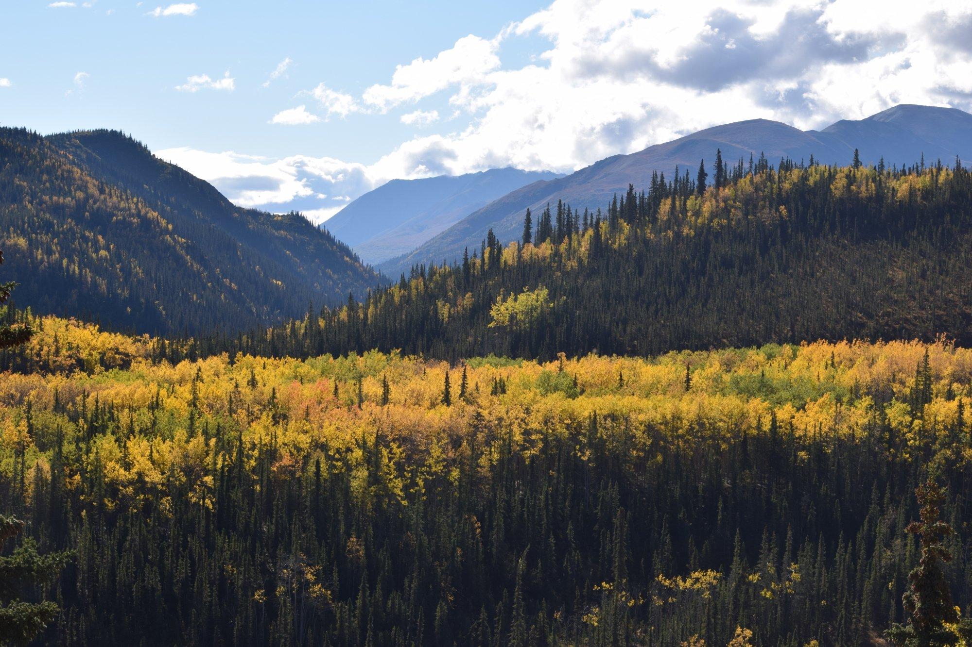 Kantishna Wilderness Trails