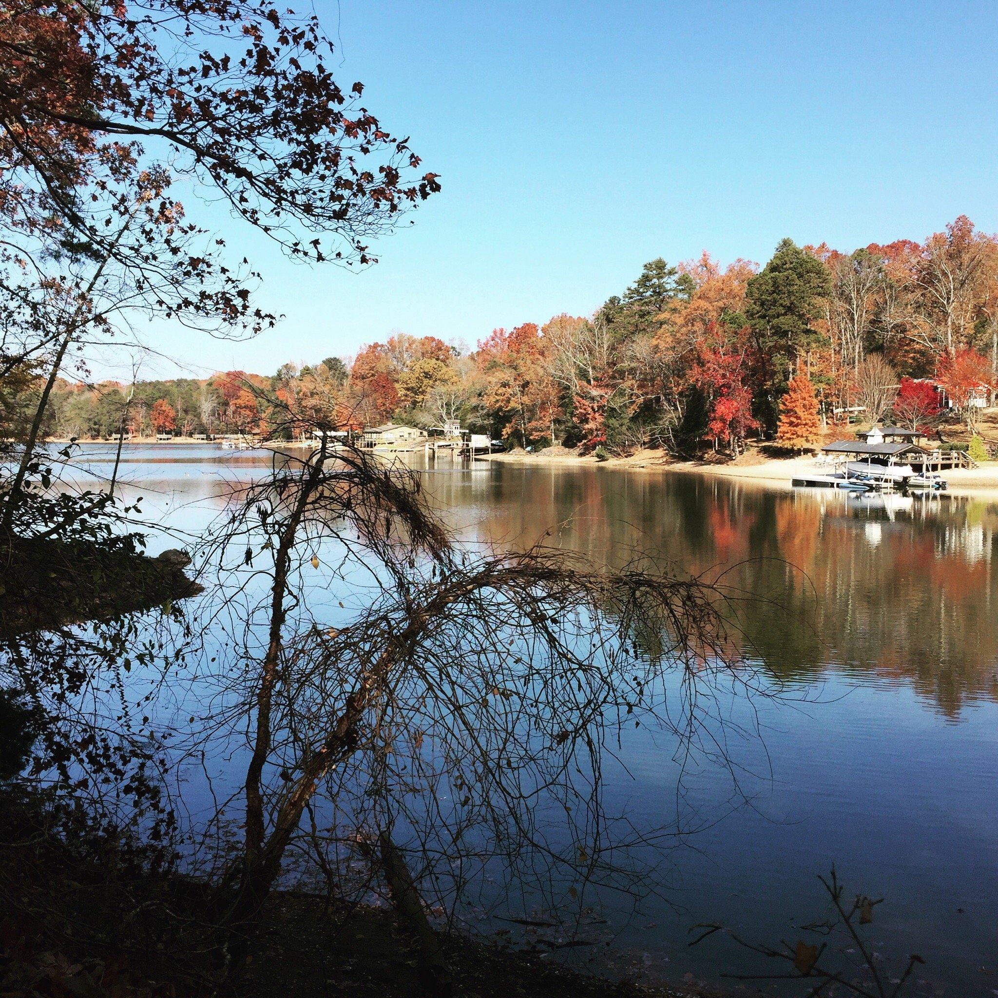 McDowell Nature Center and Preserve