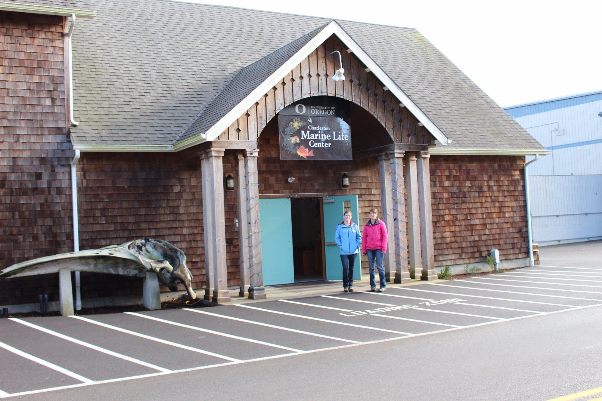 Charleston Marine Life Center