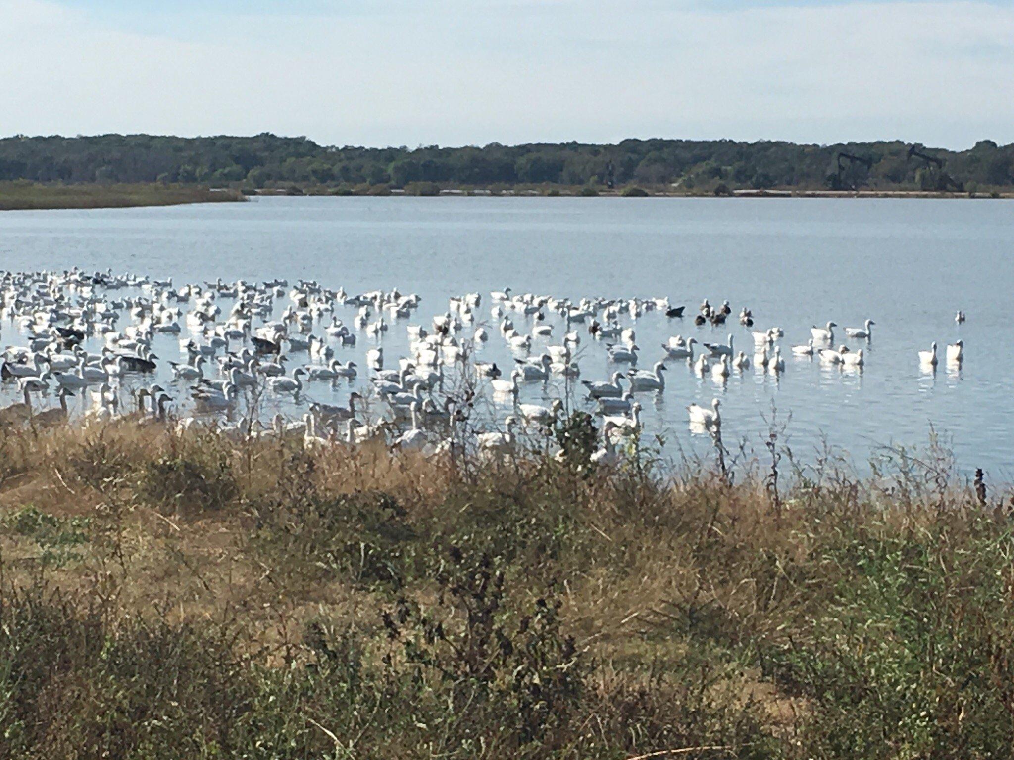 Hagerman National Wildlife Refuge