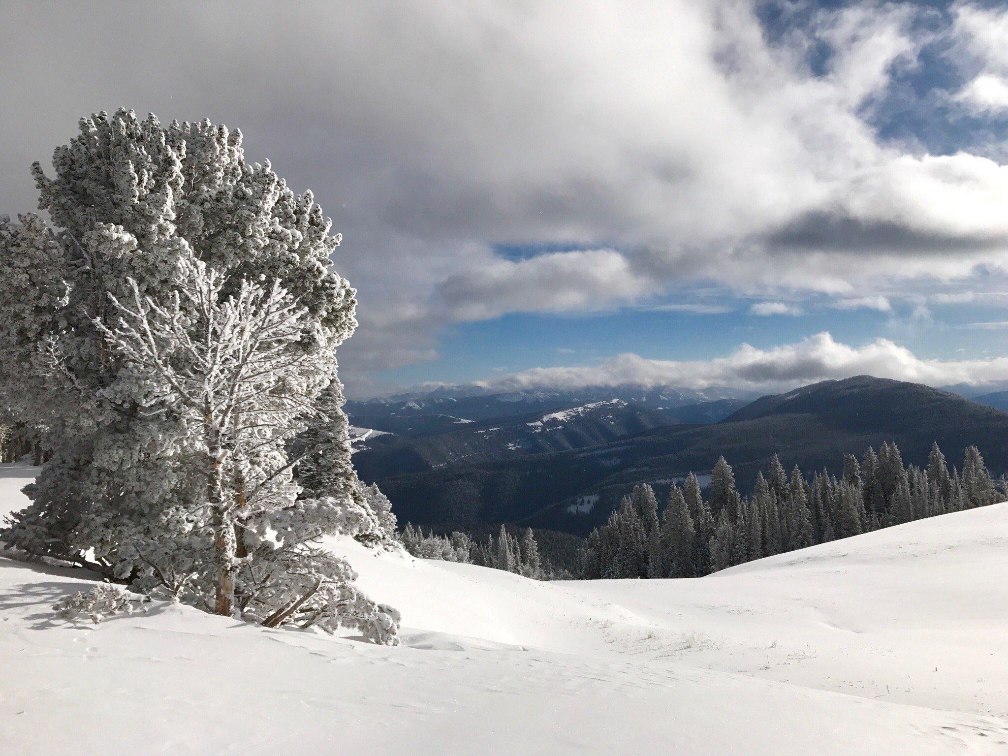 Alpine Adventures