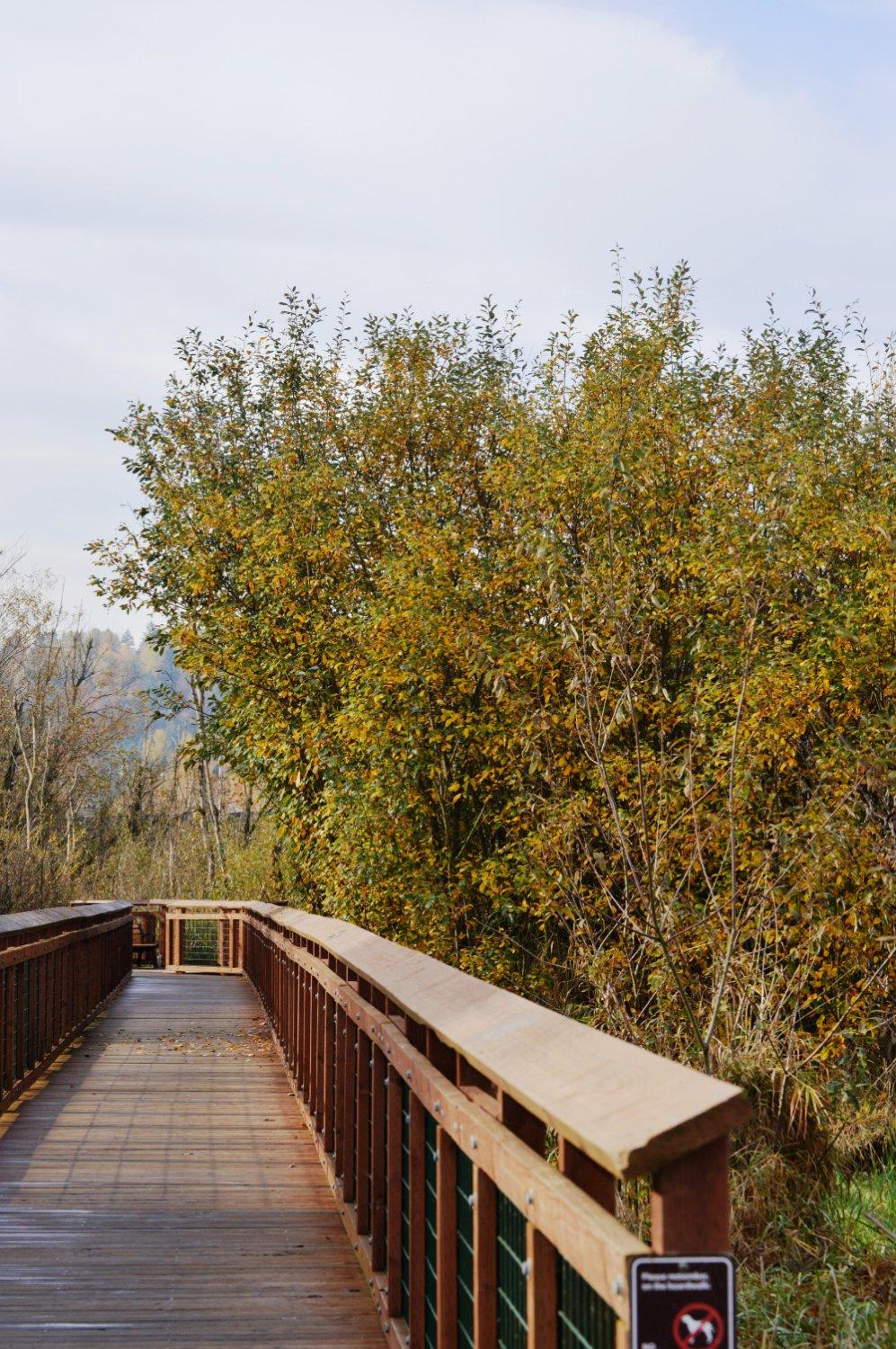 Auburn Environmental Park