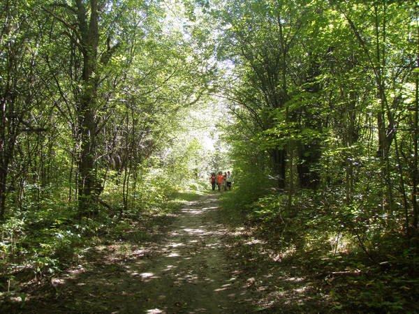 Long Sault Conservation Area