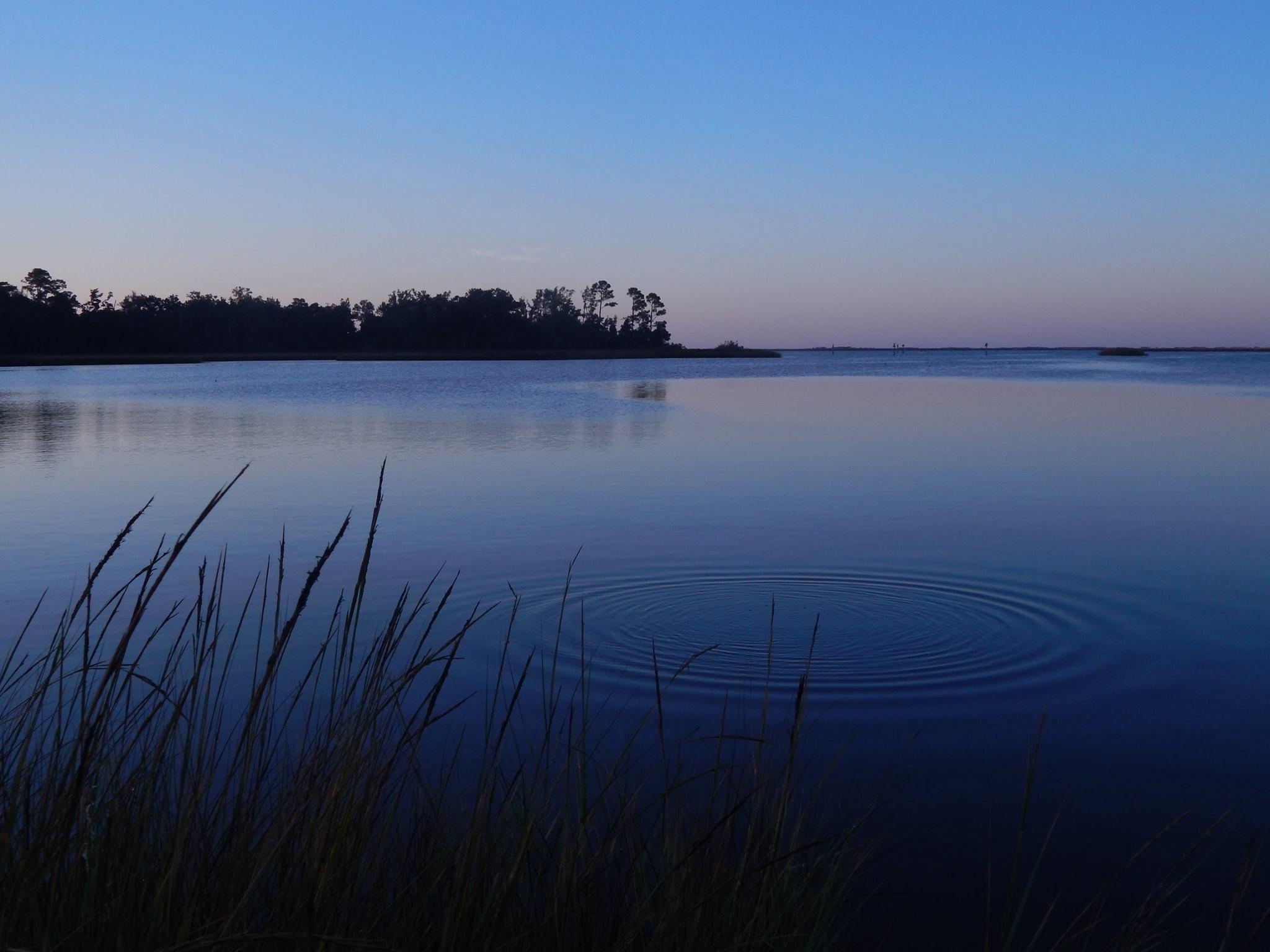 Gulf Islands National Seashore-Davis Bayou Area