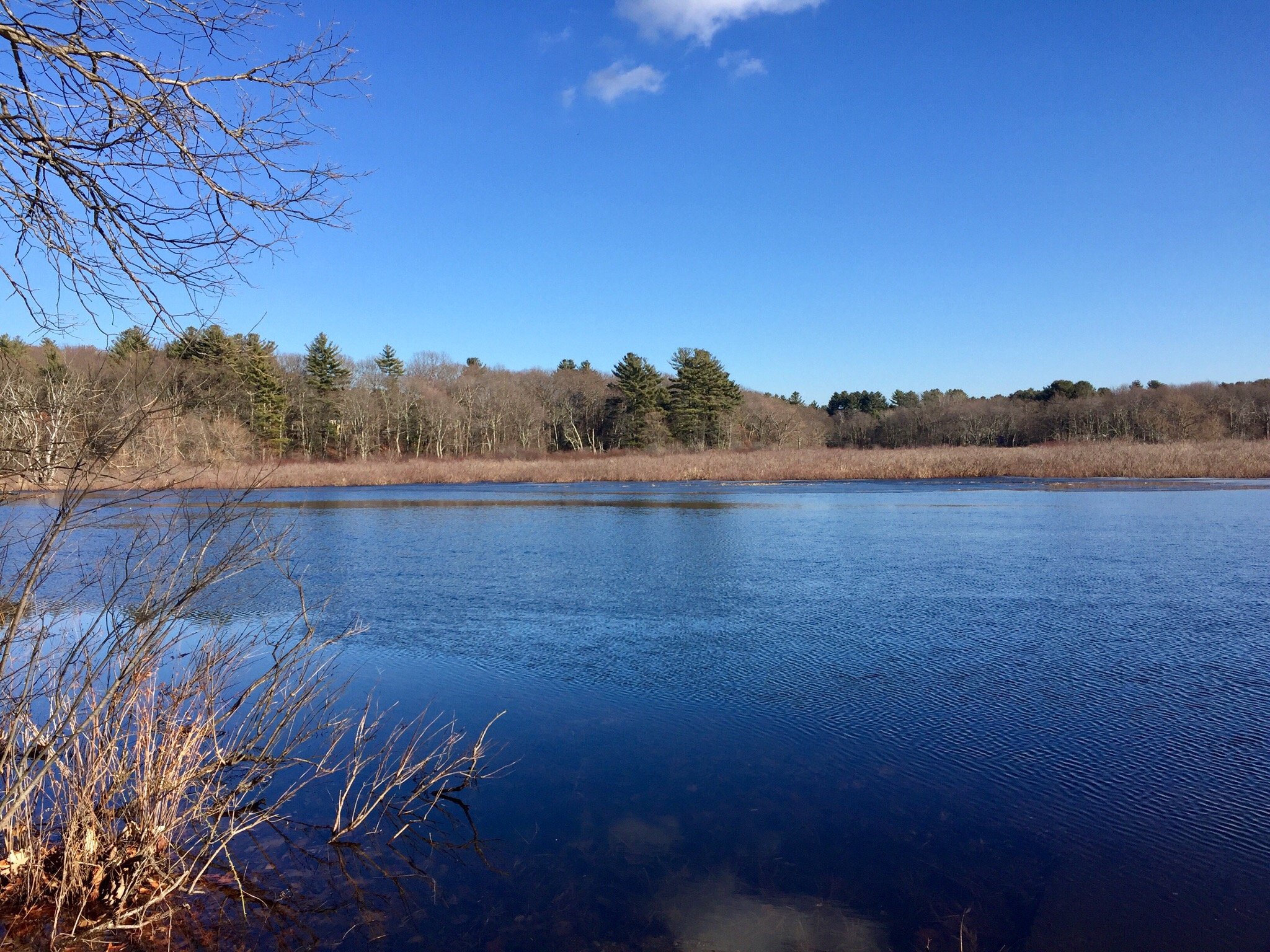 Great Meadows Wildlife Refuge