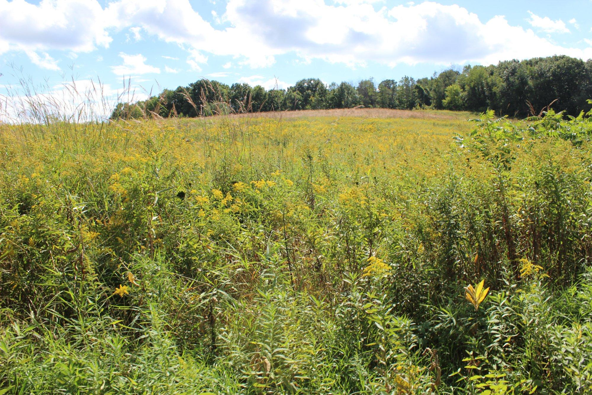 Cherokee Marsh- North Unit