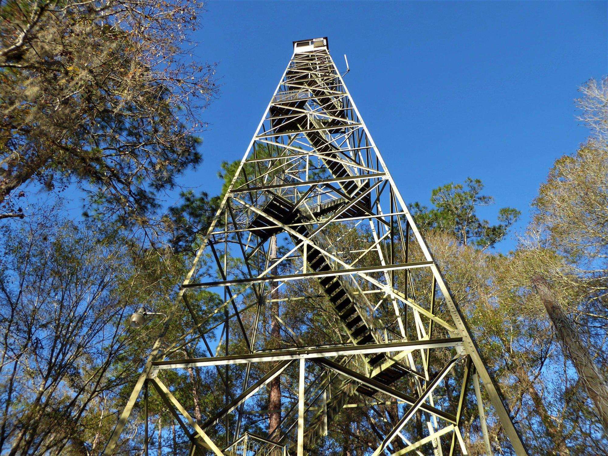 Richloam Fire Tower Trailhead