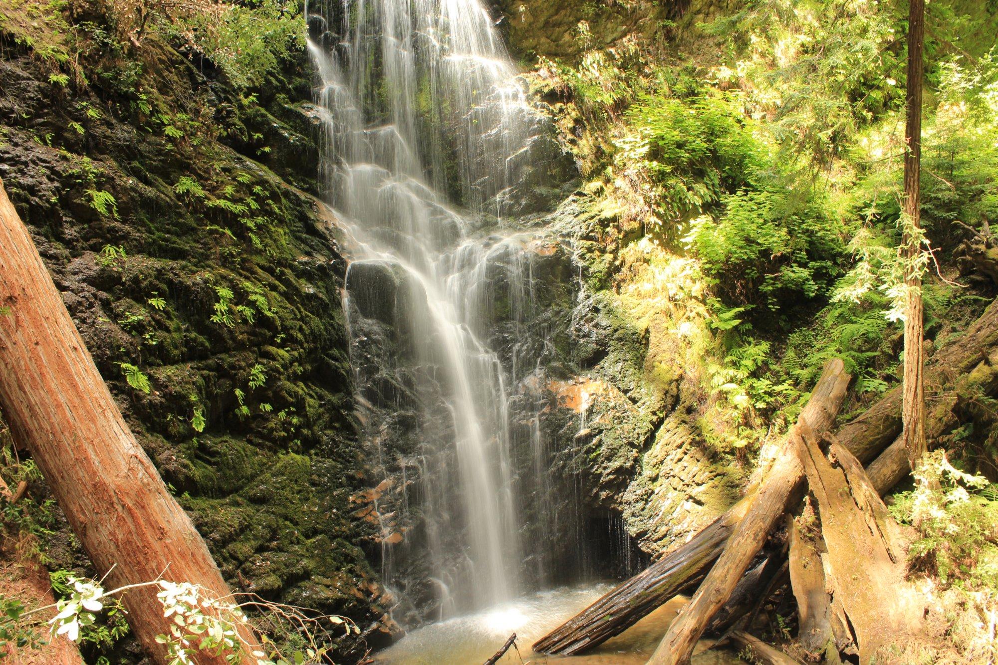 Big Basin Redwoods State Park