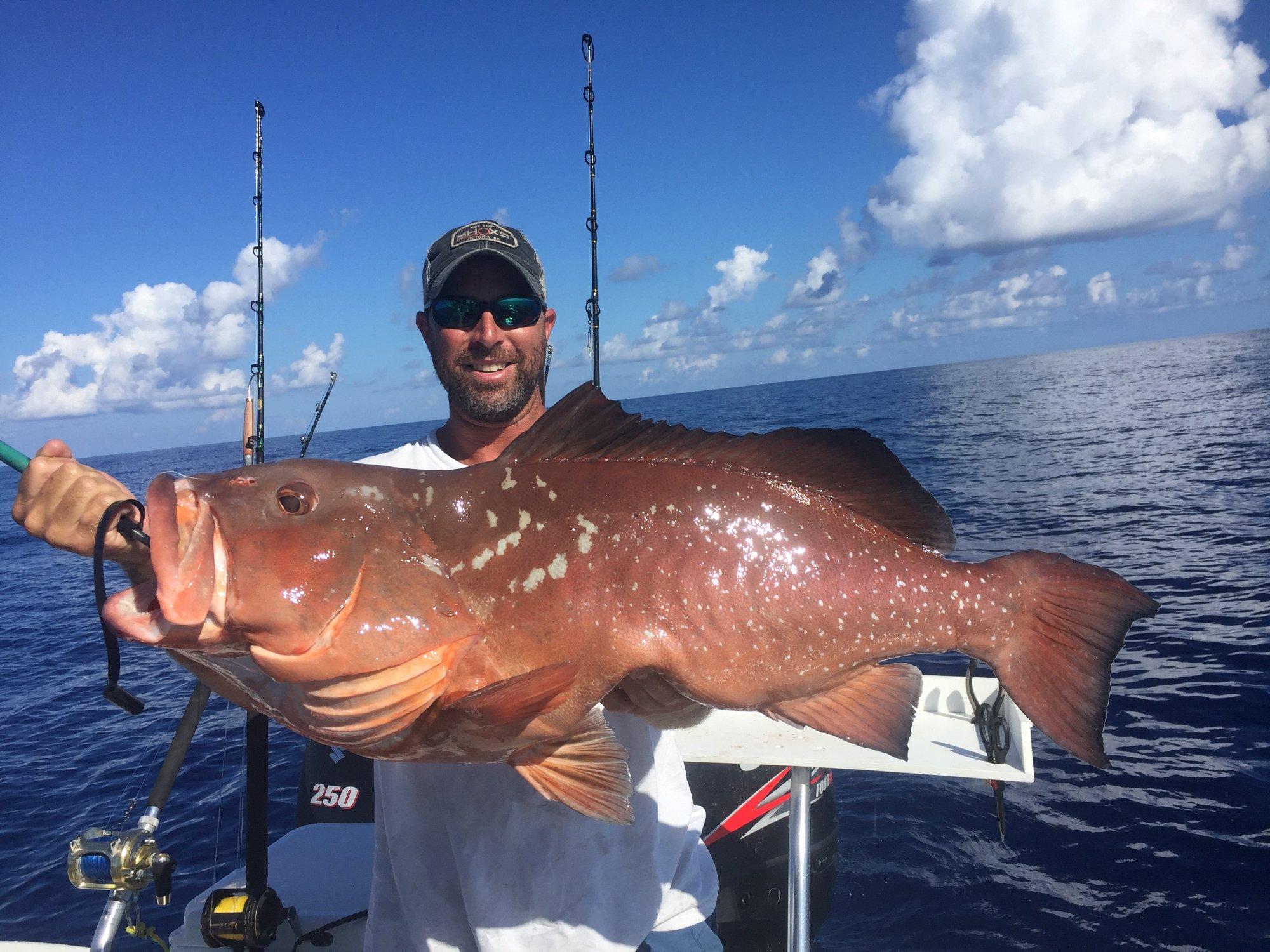 Offshore Hunter Fishing Charters