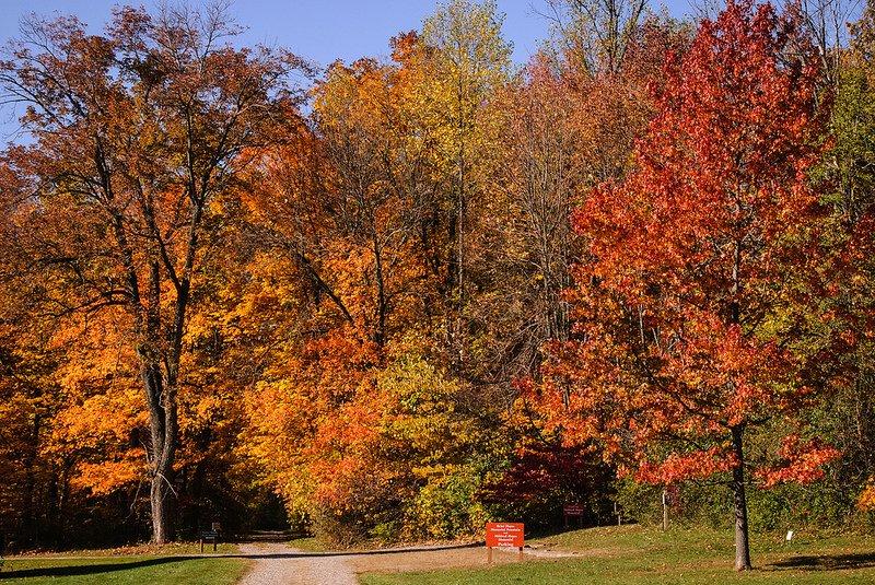 Hayes Arboretum