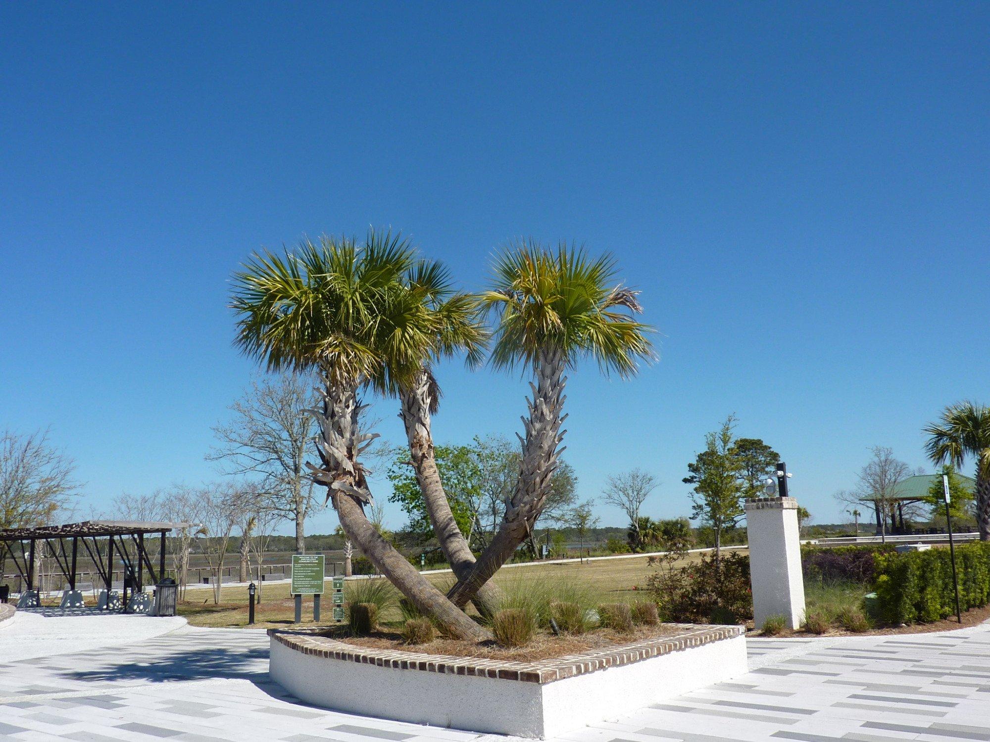 Shelter Cove Community Park