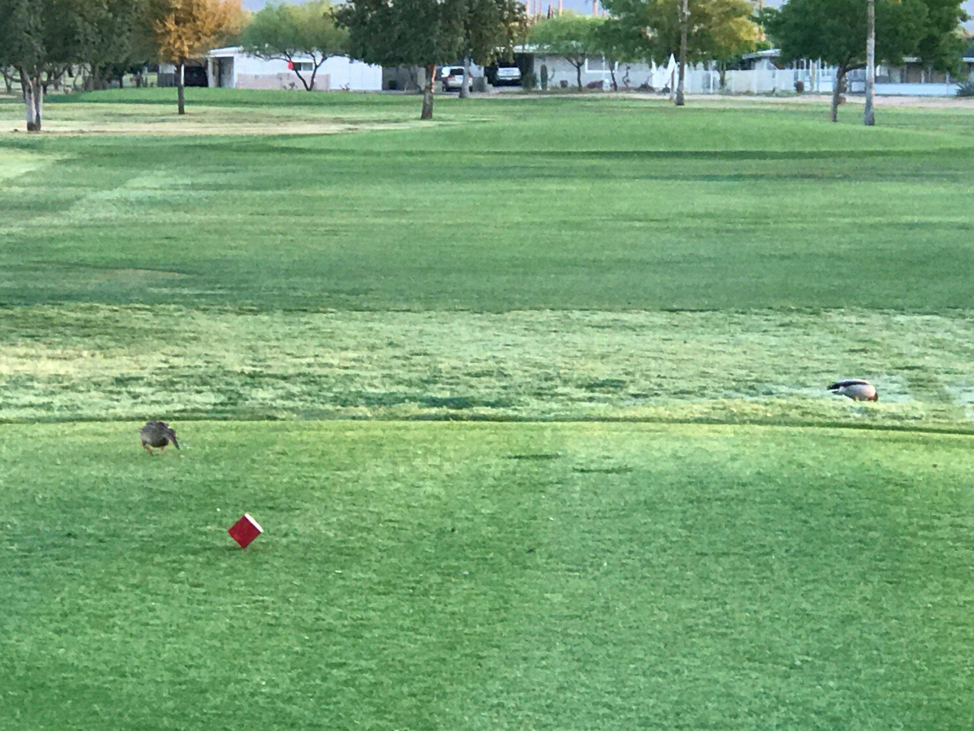 Desert Sands Golf Course