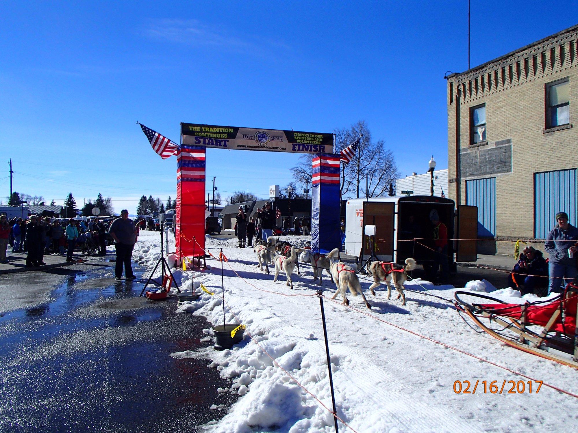 American Dog Derby