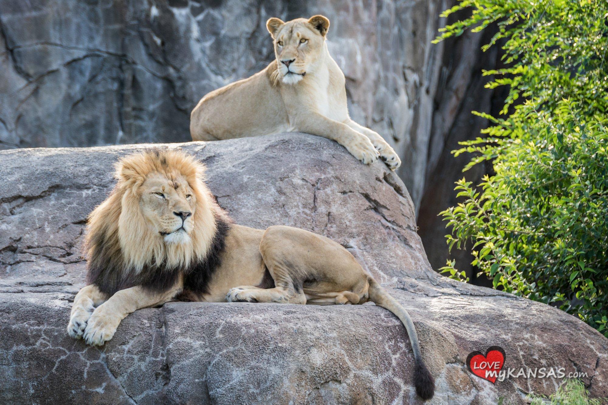 Sedgwick County Zoo