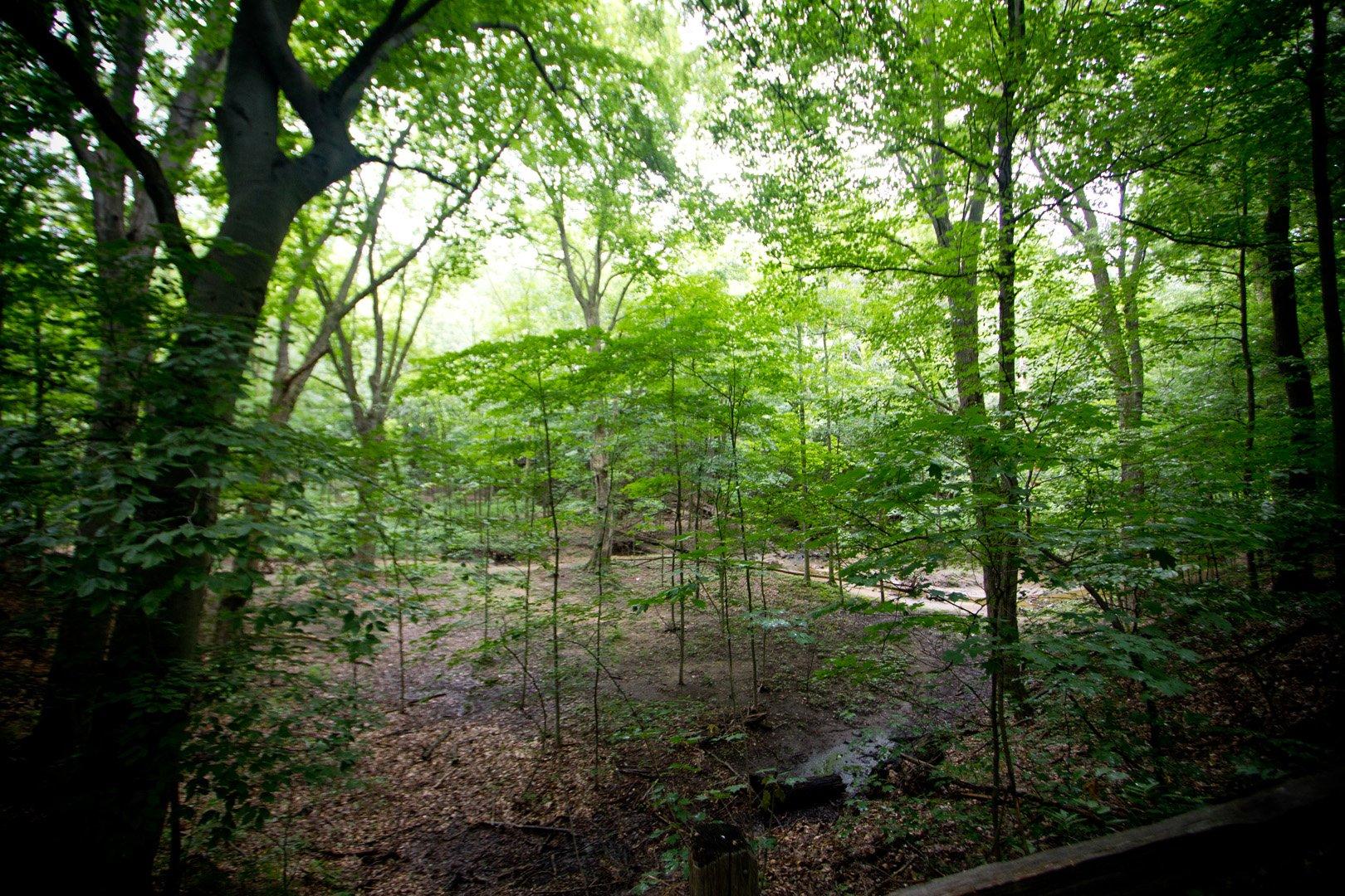 Blandford Nature Center