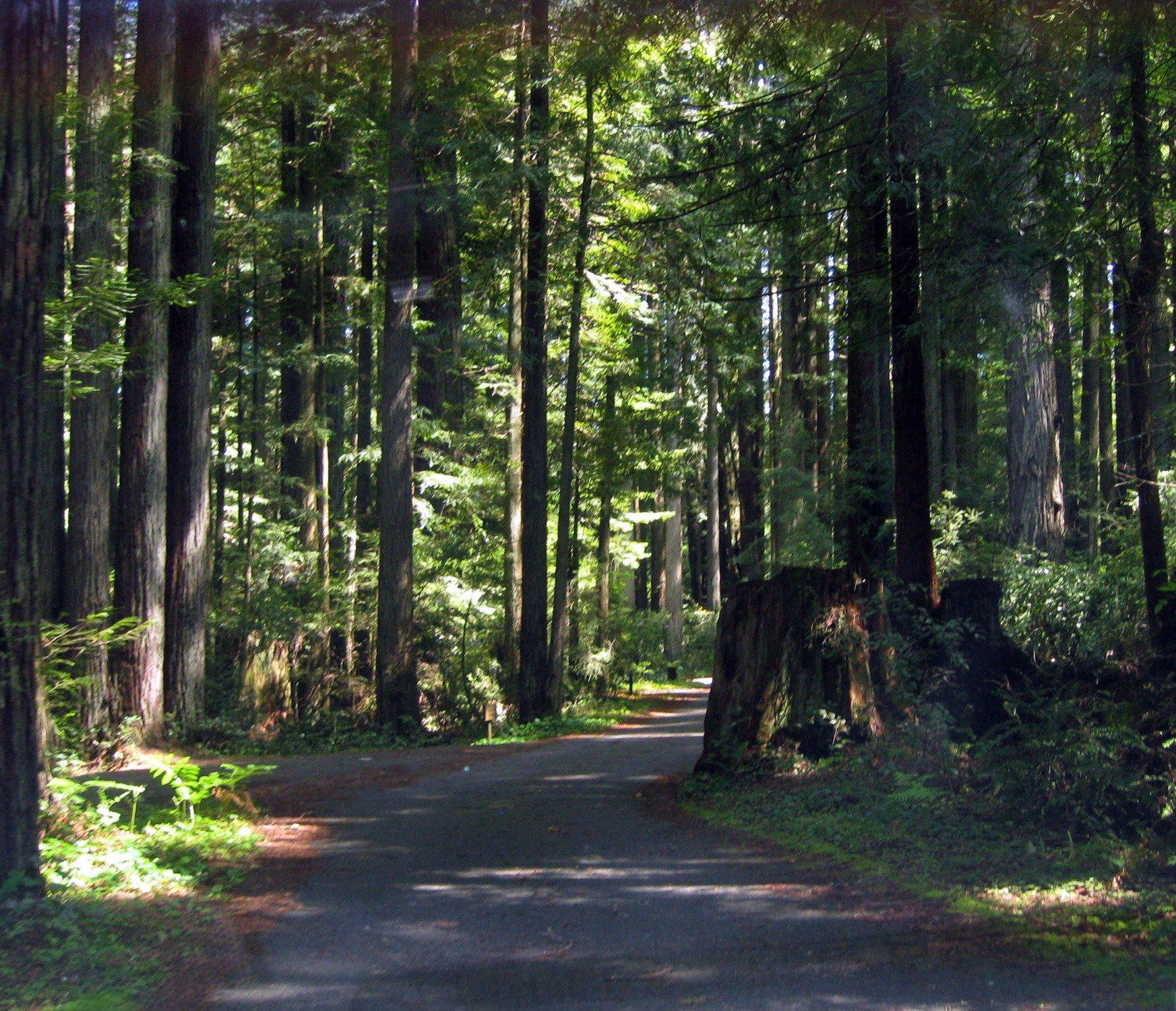 Florence Keller County Park & Campground