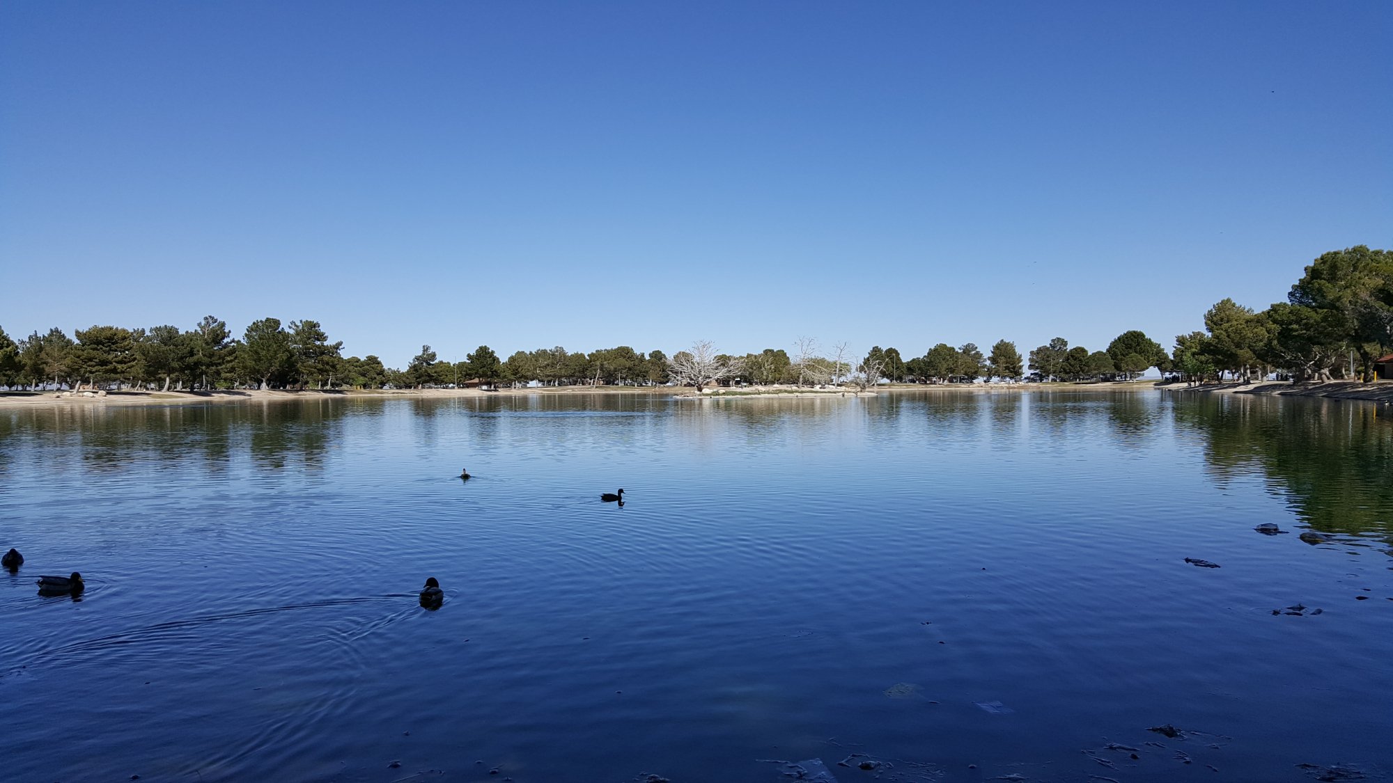 Apollo Community Regional Park