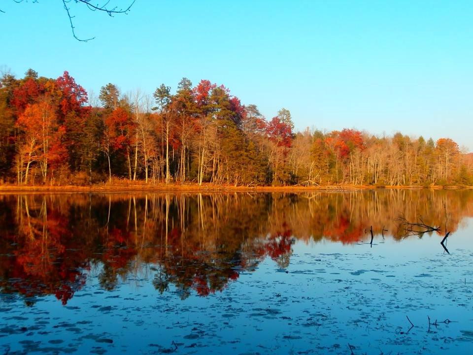 Bays Mountain Park & Planetarium