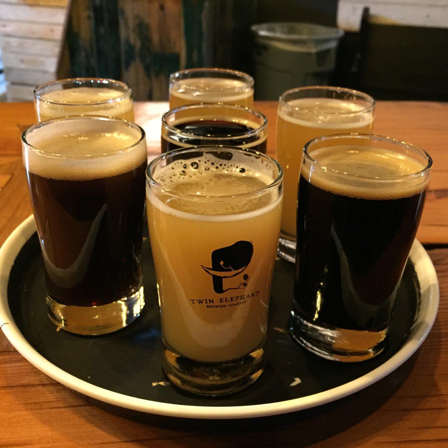 Twin Elephant Brewing Company