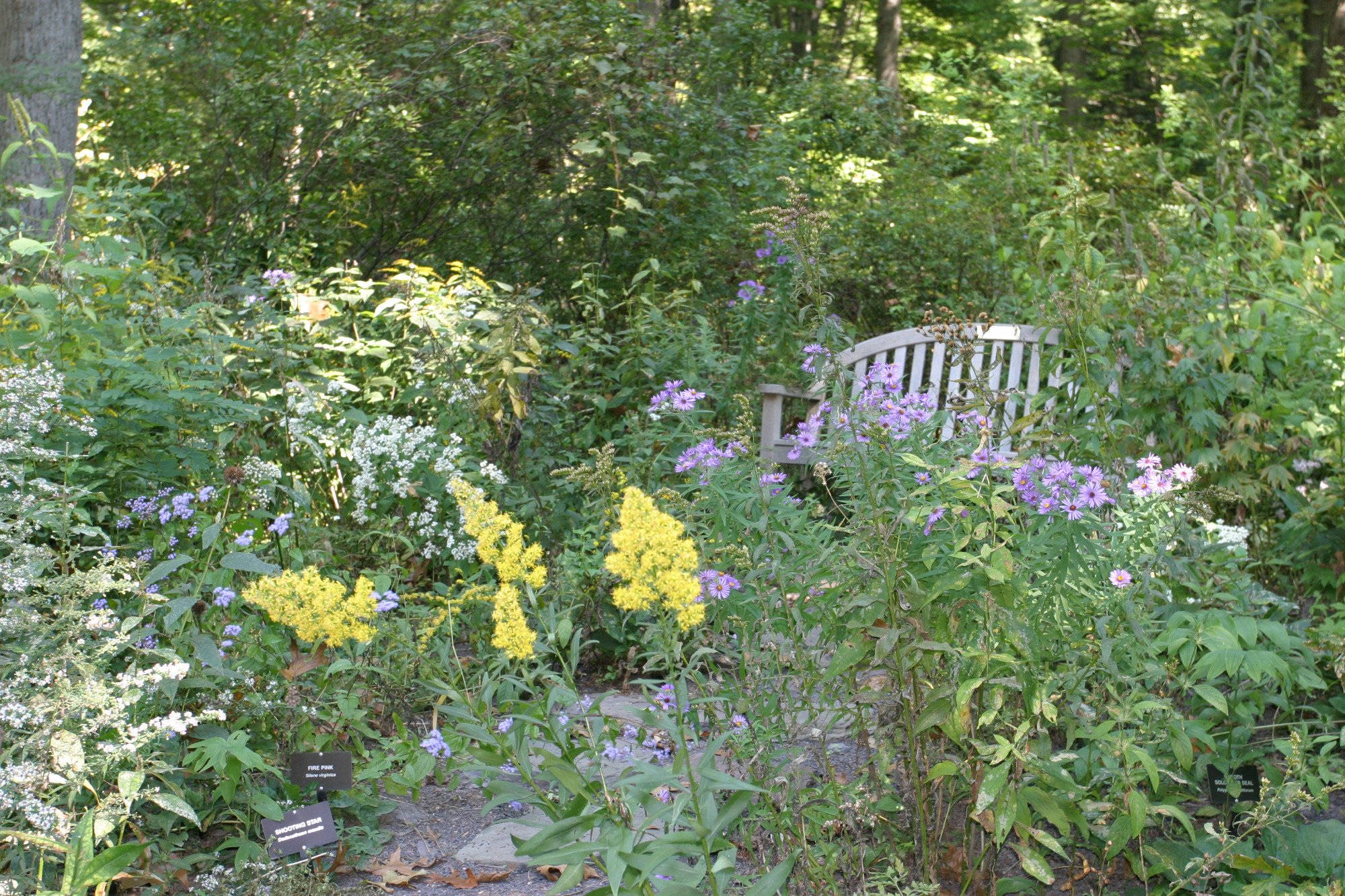 Bowman's Hill Wildflower Preserve