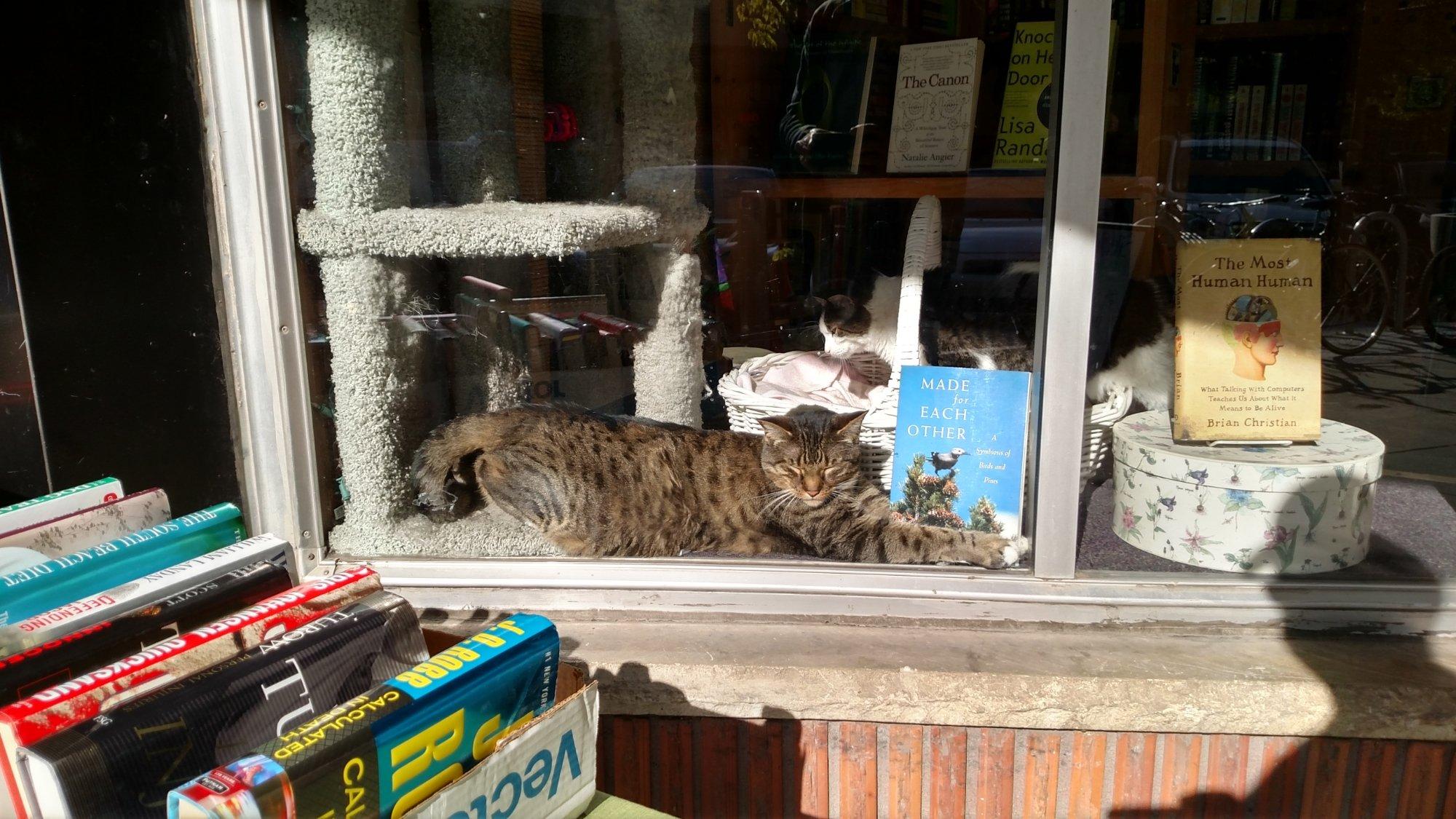 A Novel Idea Bookstore