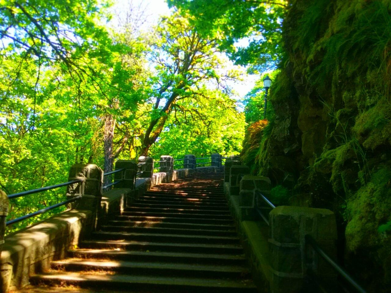 McLoughlin Promenade