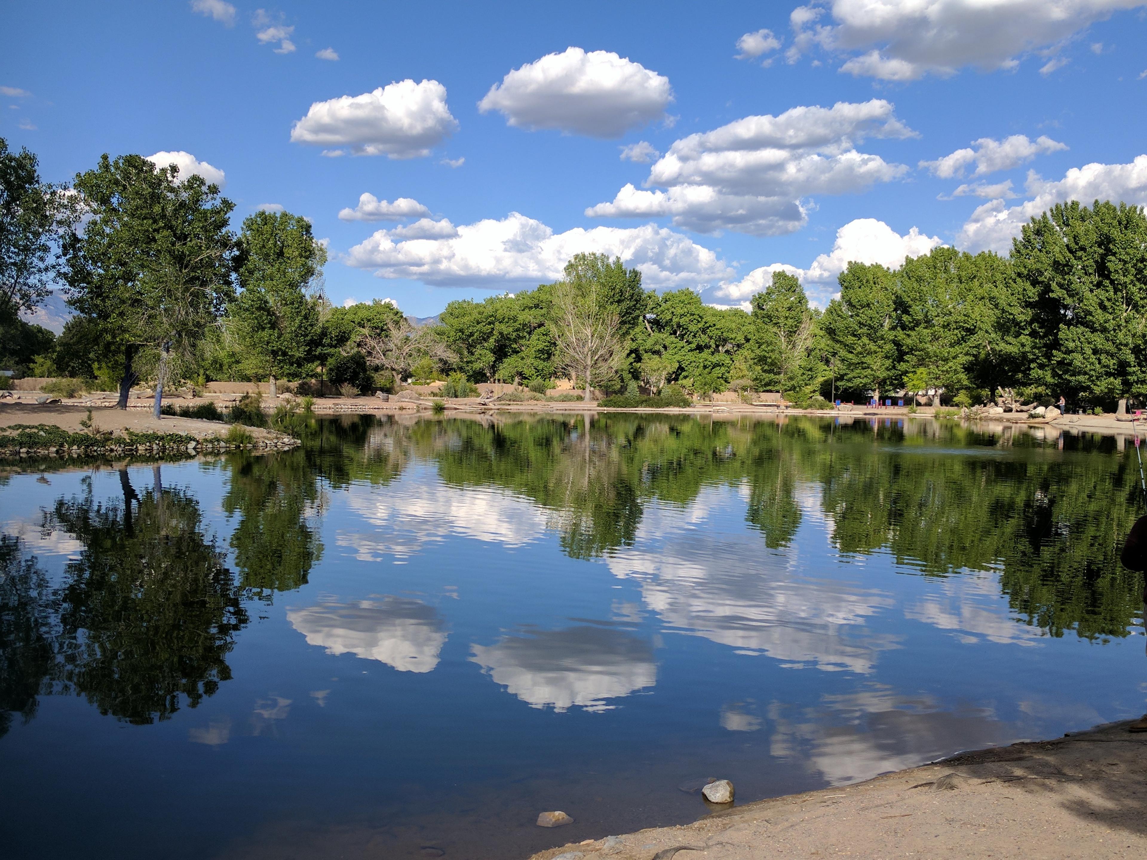 Tingley Beach