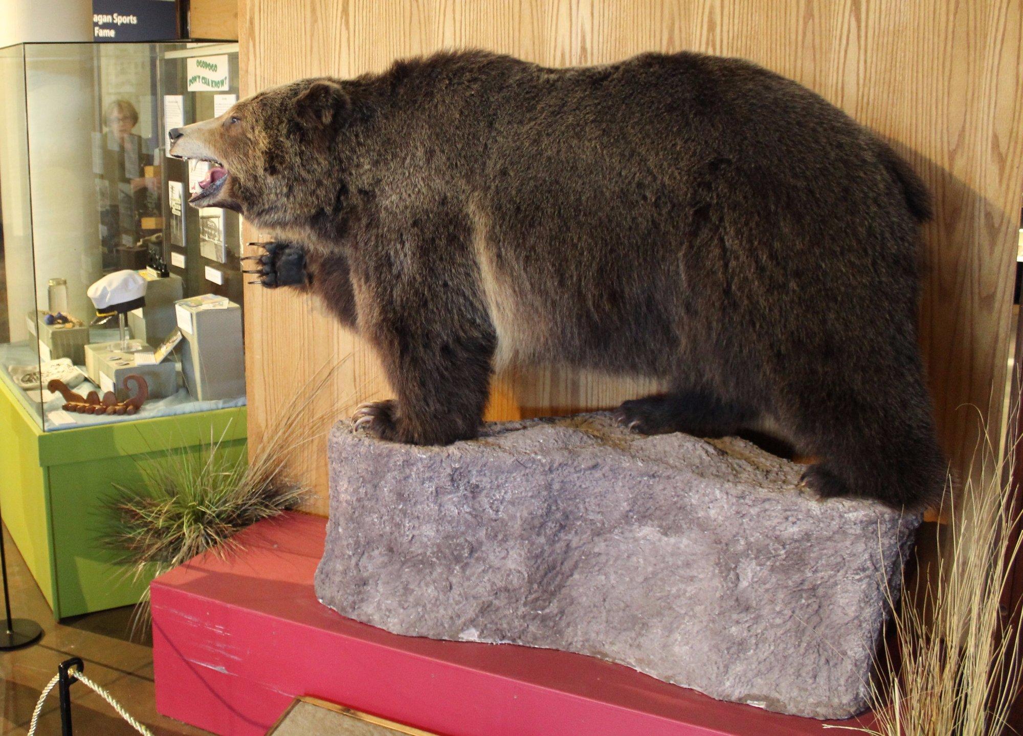 Okanagan Heritage Museum