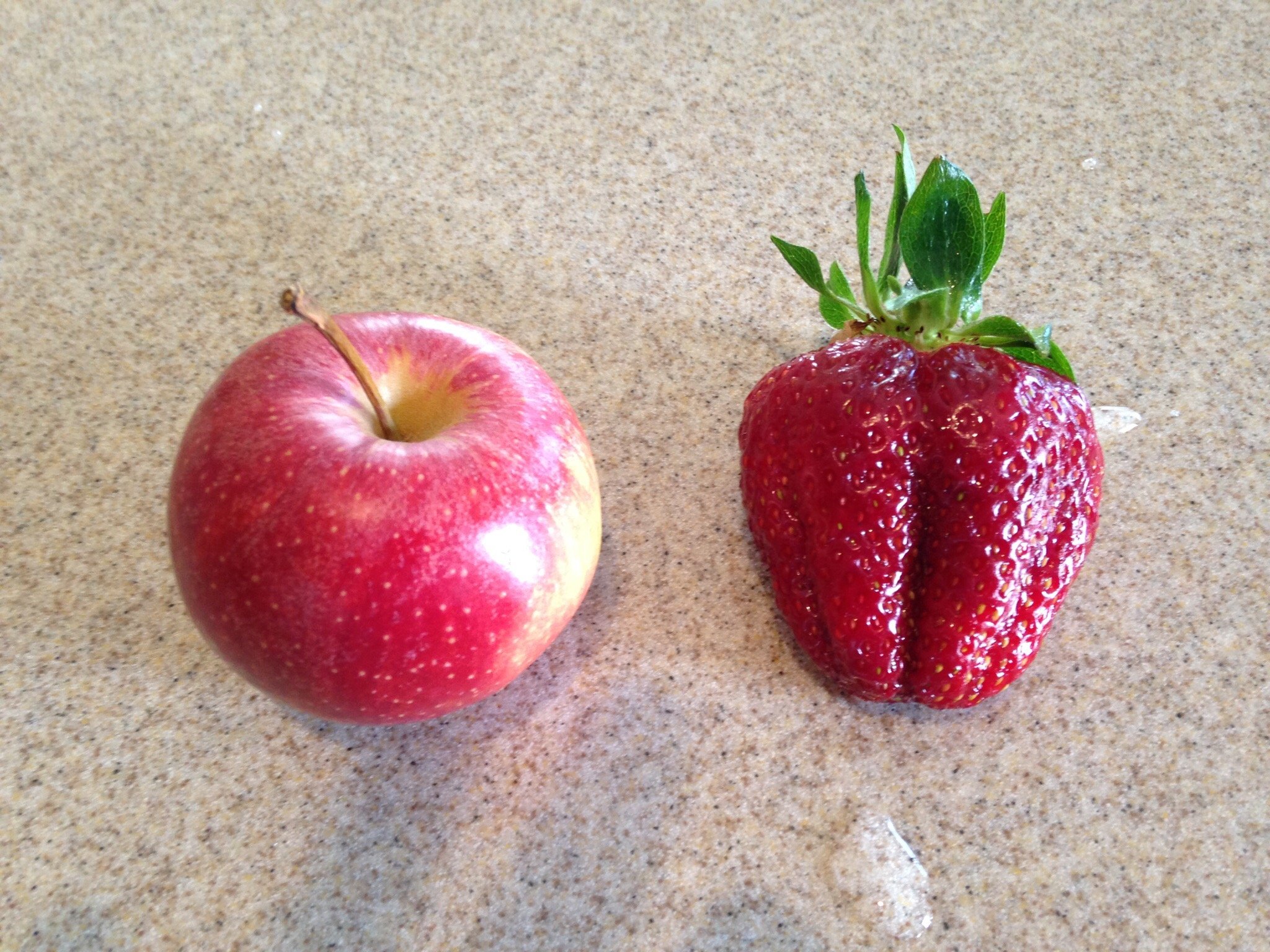 Hickory Bluff Berry Farm