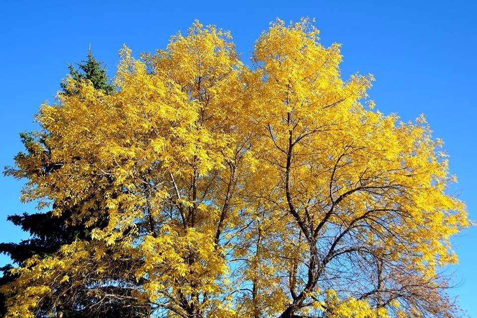 Aspen Beach Provincial Park