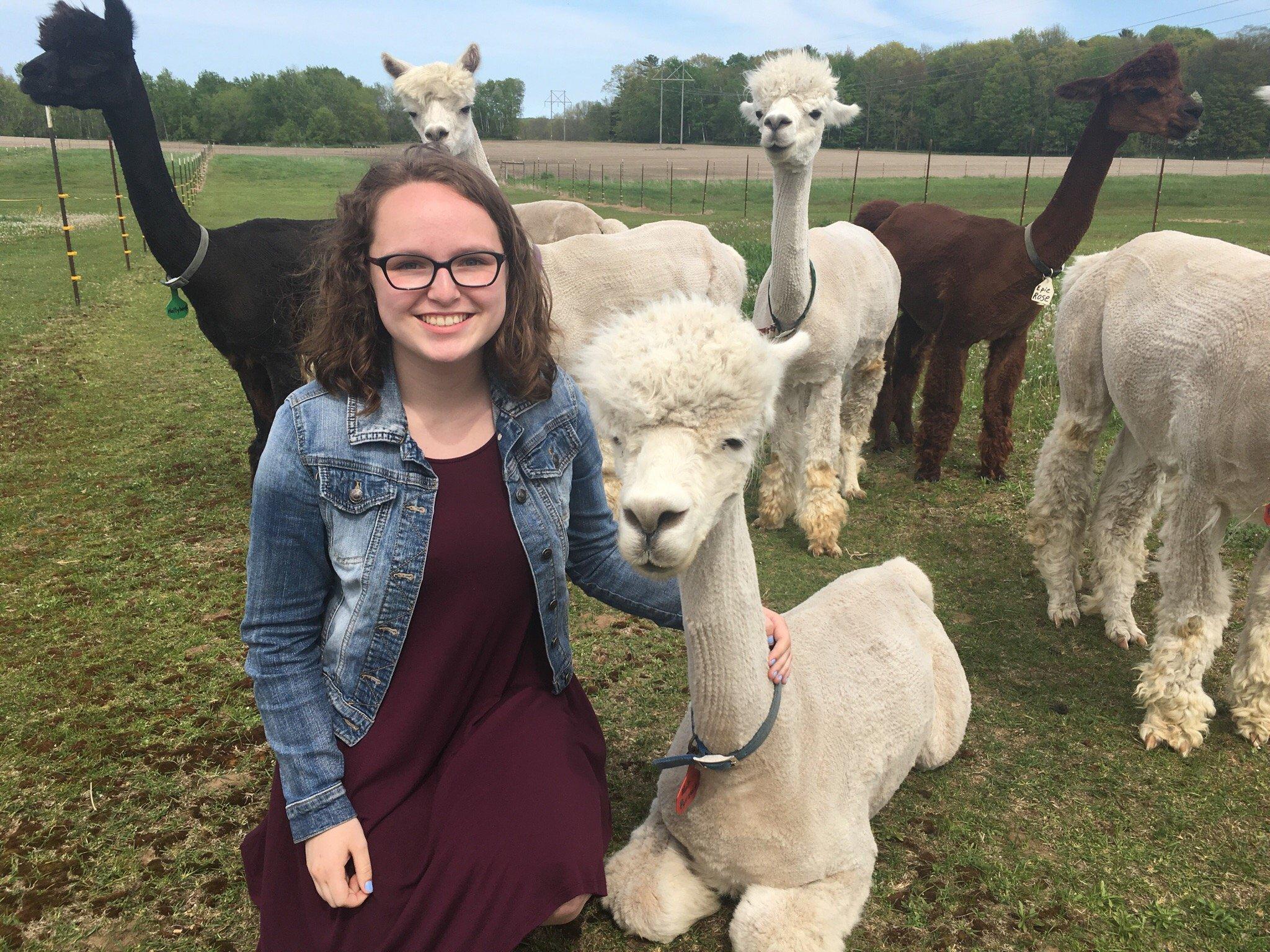 LondonDairy Alpacas