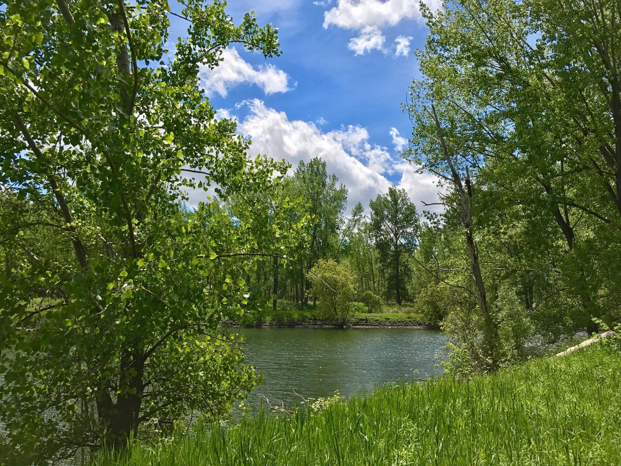 Parc Des Iles de Boucherville