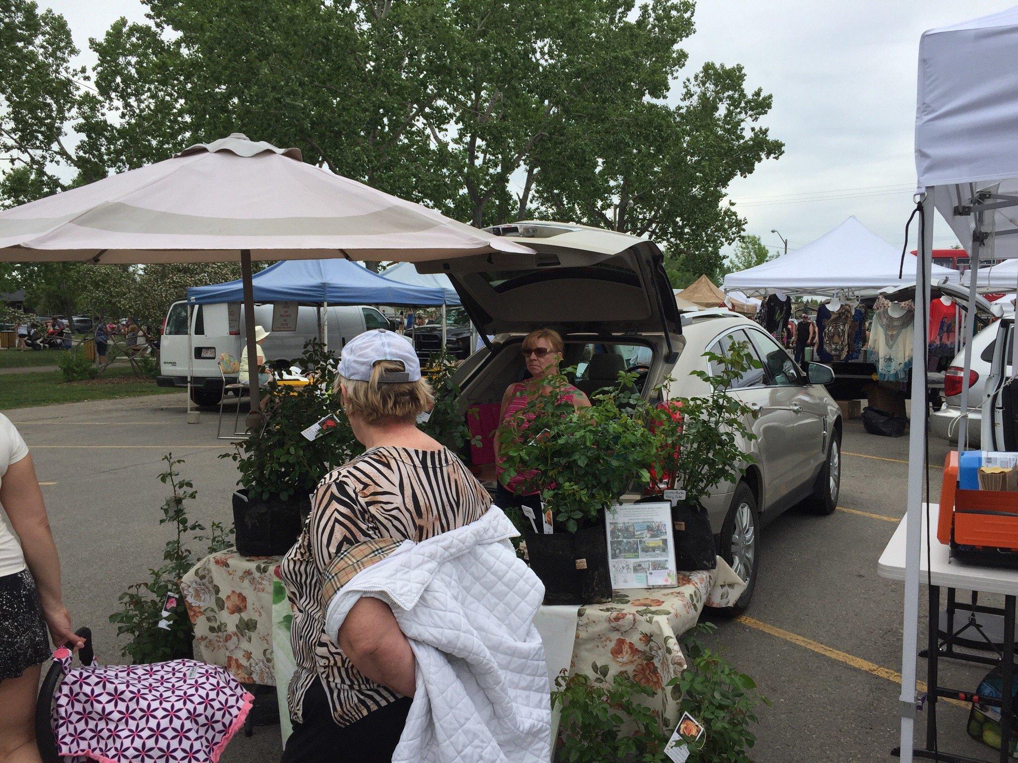 Airdrie Farmer's Market