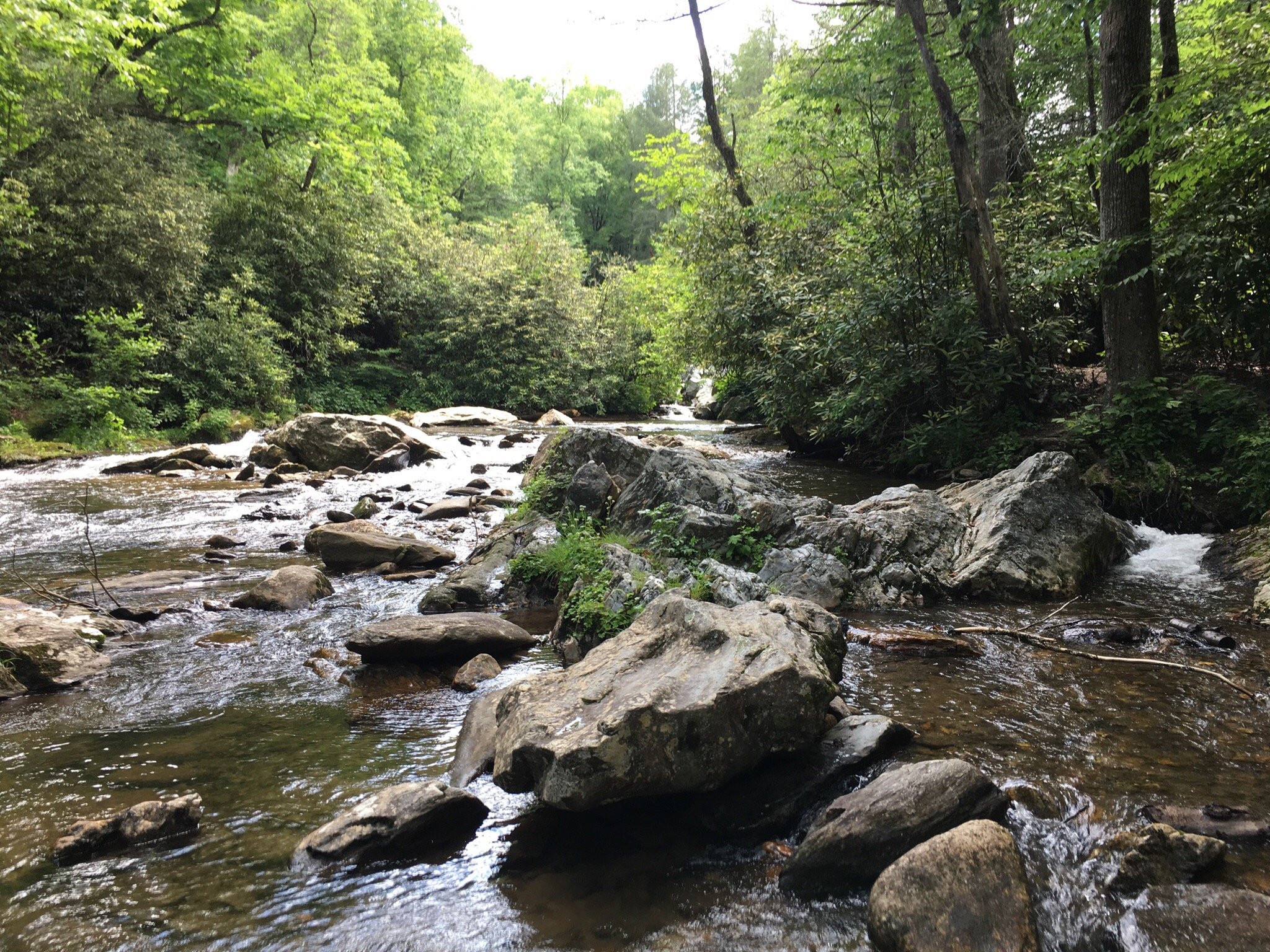 North Mills River Campground