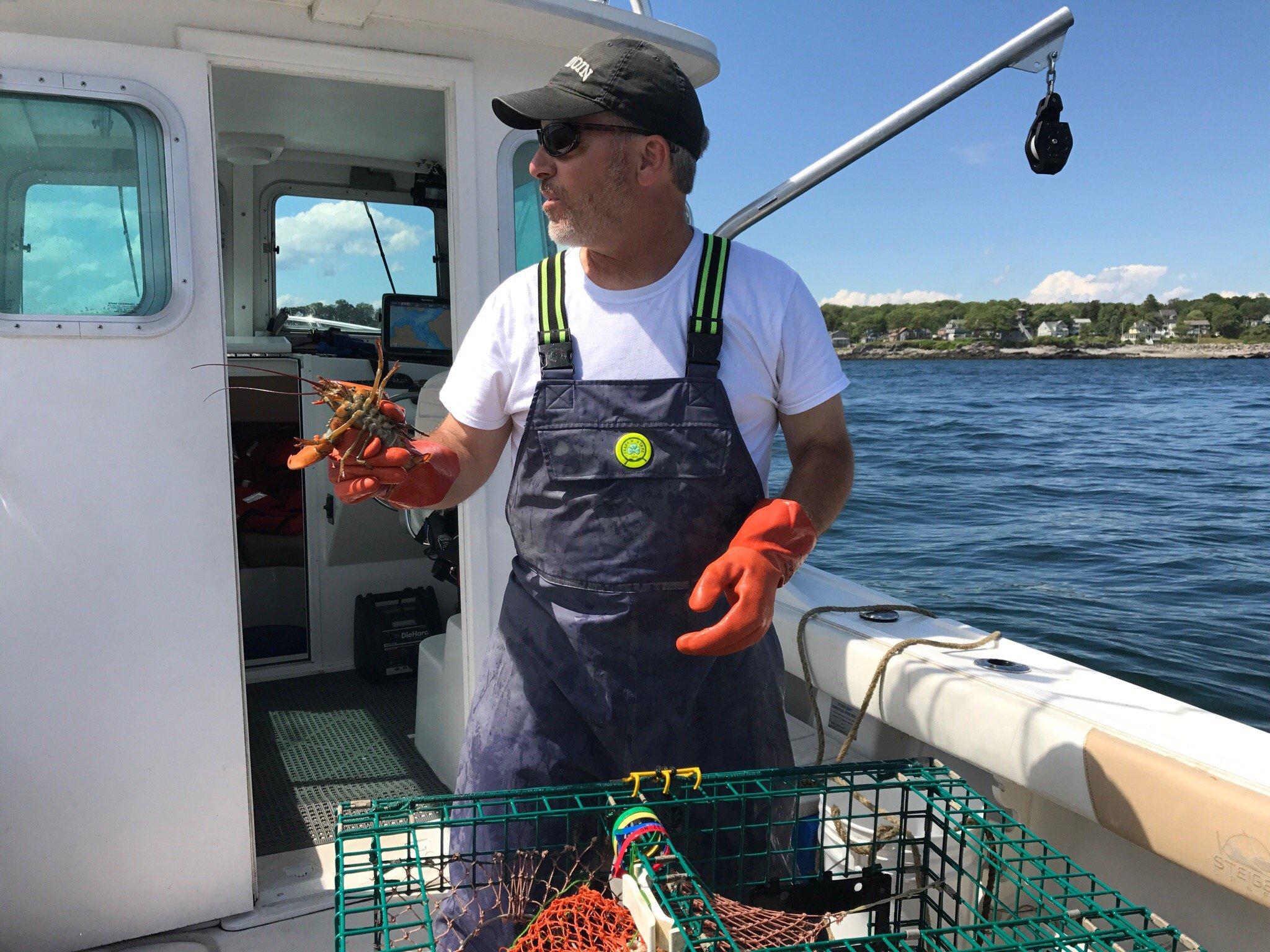 Casco Bay Adventures