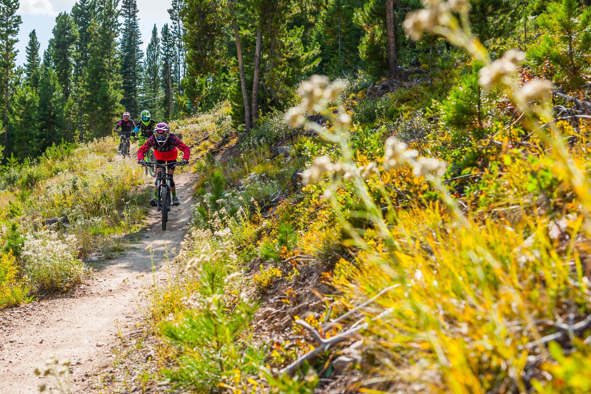 Trestle Bike Park