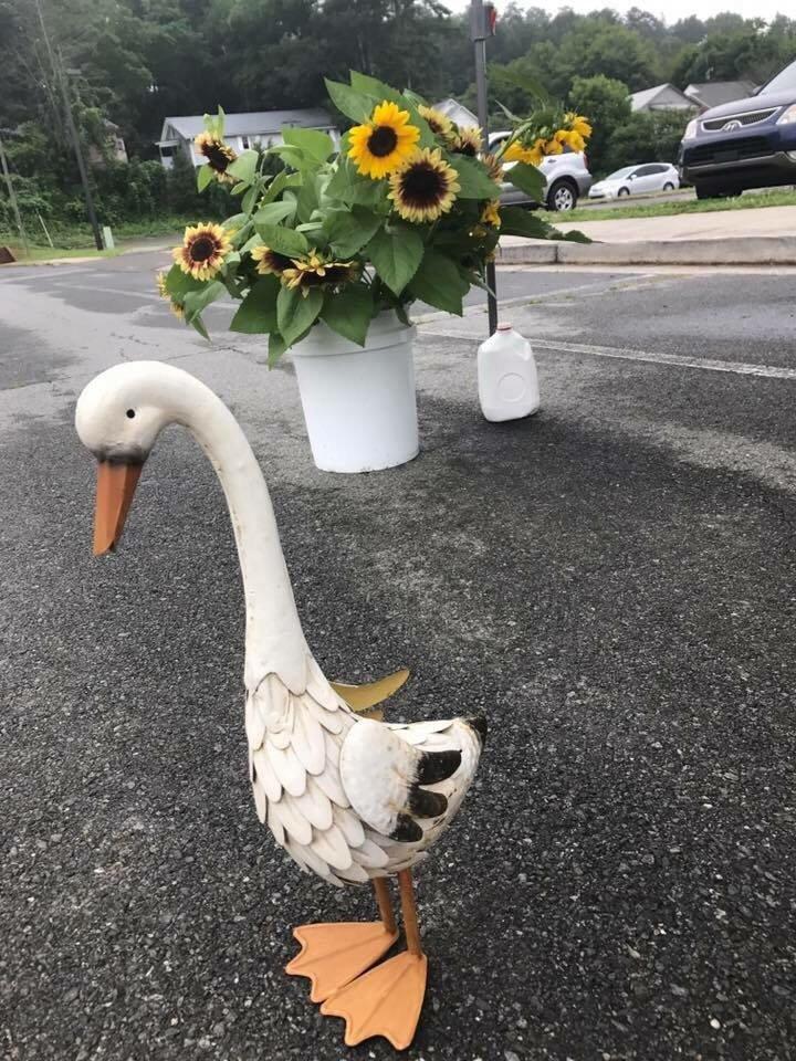 Ellijay Farmers Market