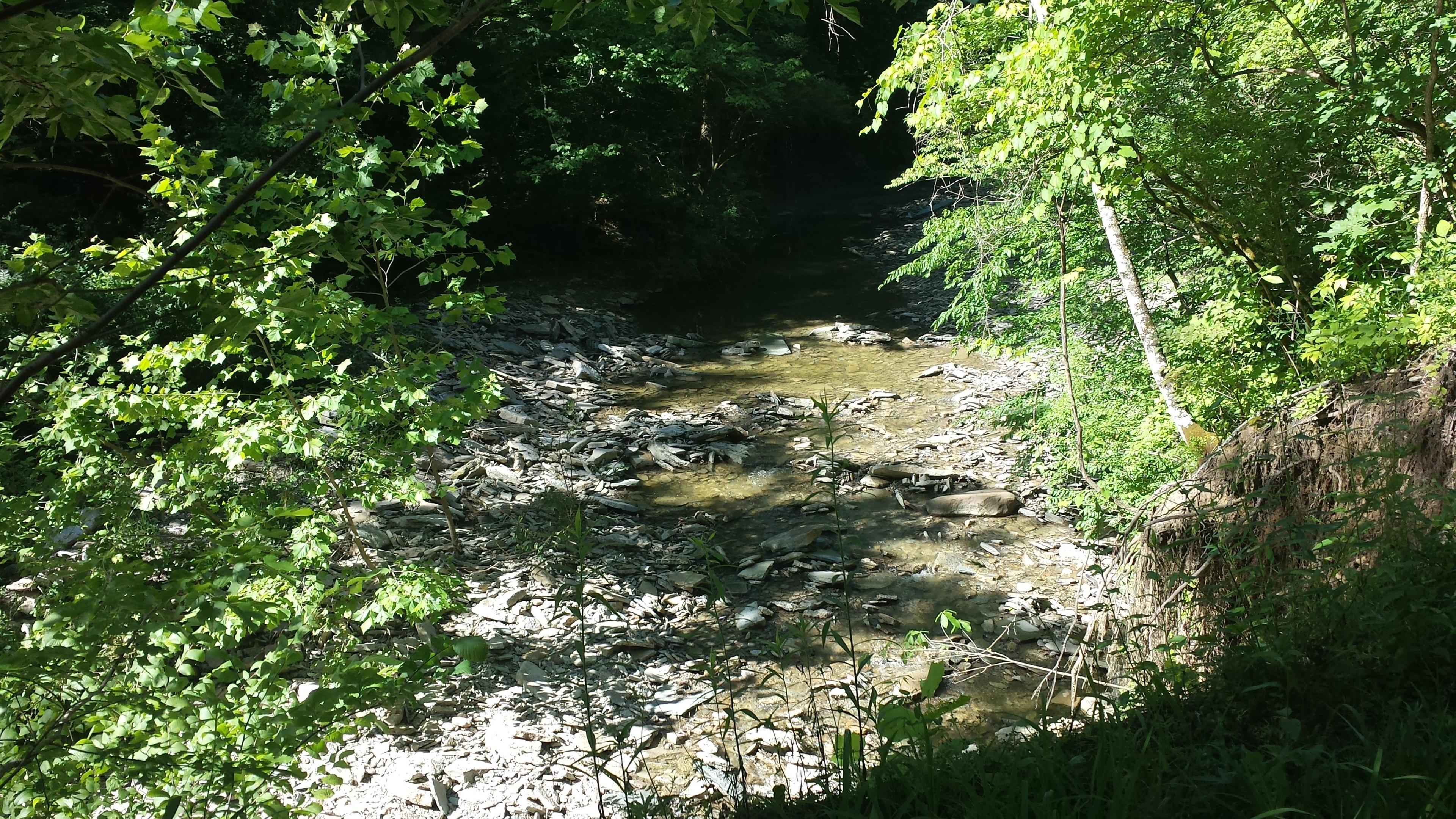 Redbird Hollow Preserve