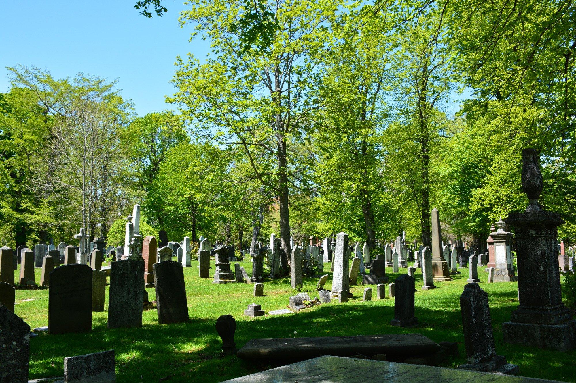 Holy Cross Cemetery