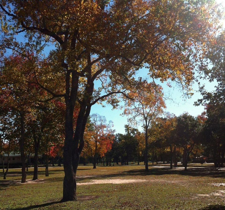 Mary Jo Peckham Park