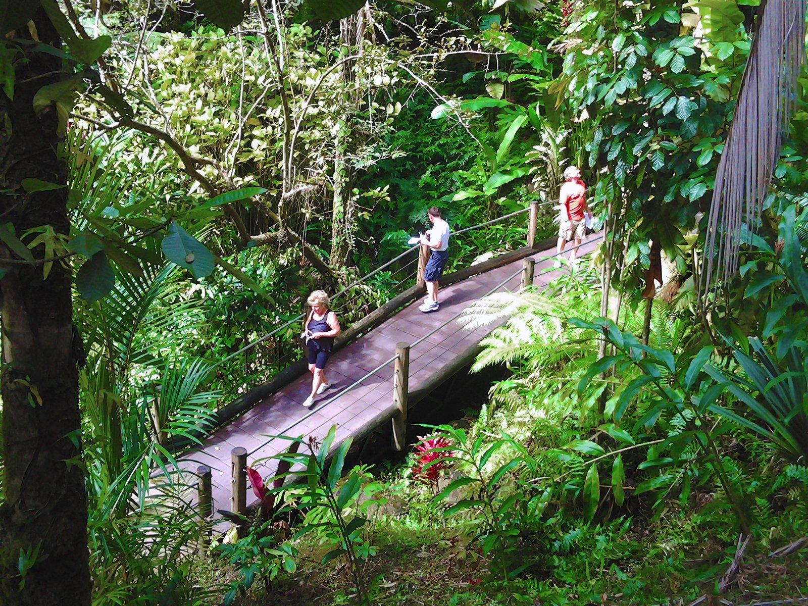 Hawaii Tropical Botanical Garden