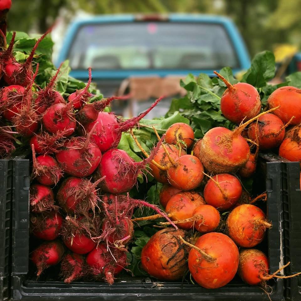 The Woodlands Farmer's Market