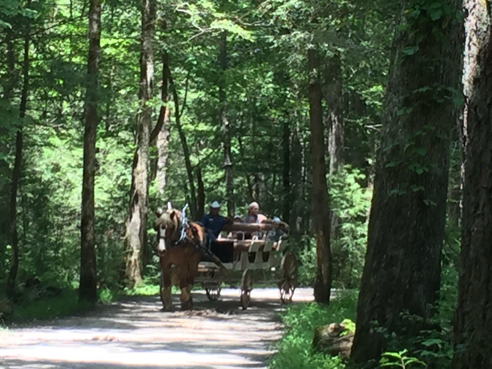 Cades Cove Riding Stables