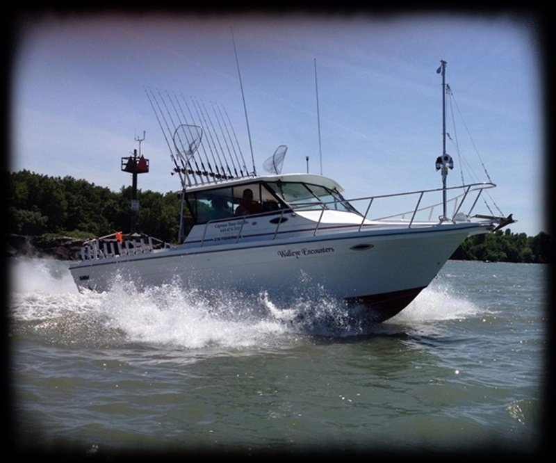 Walleye Encounters