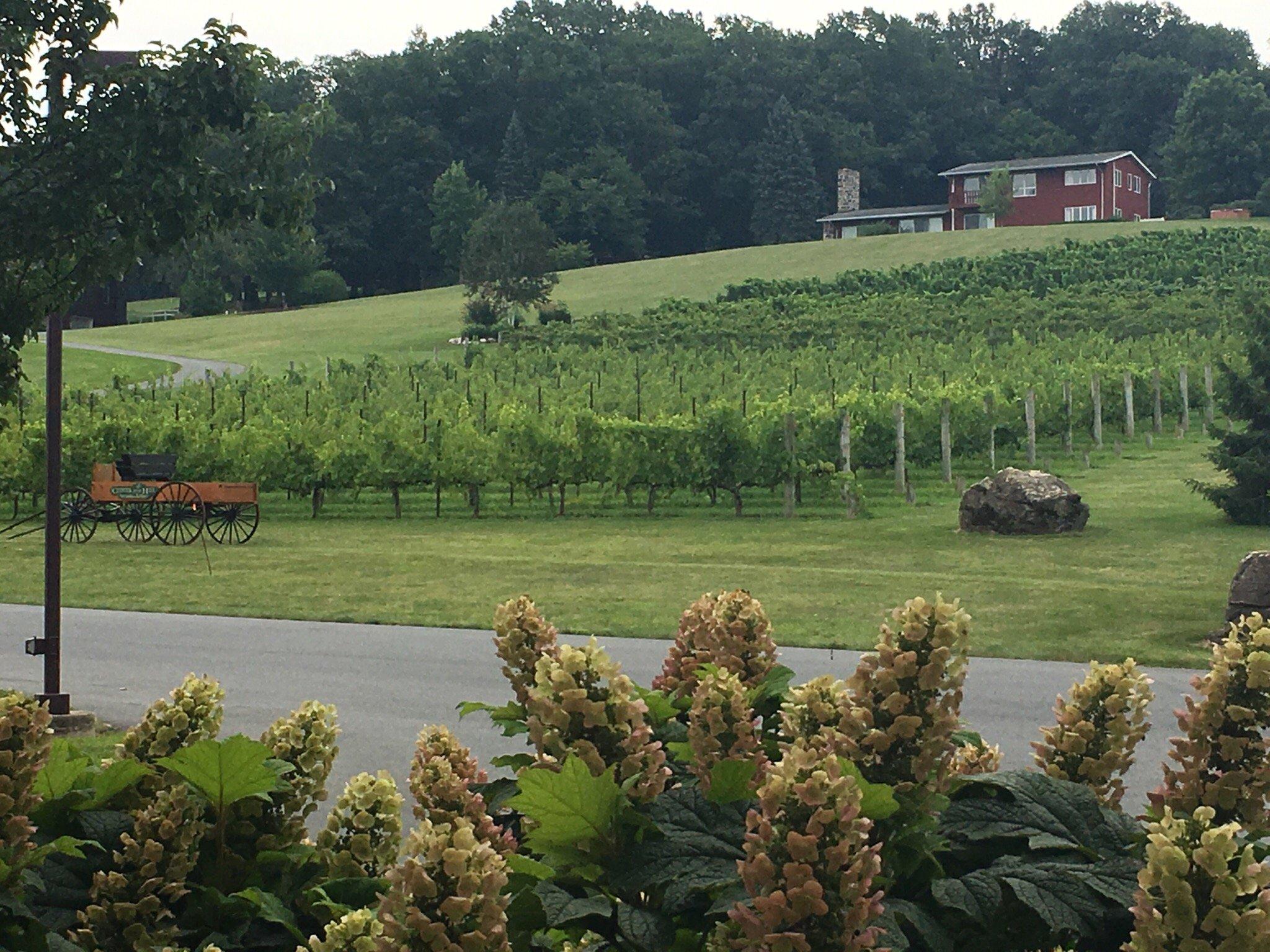 Clover Hill Vineyards & Winery