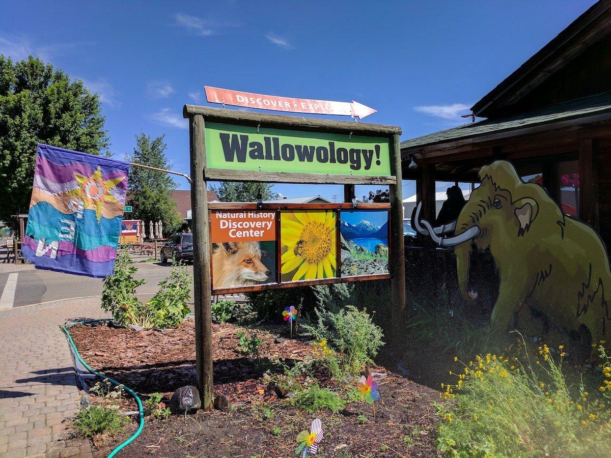 Wallowology